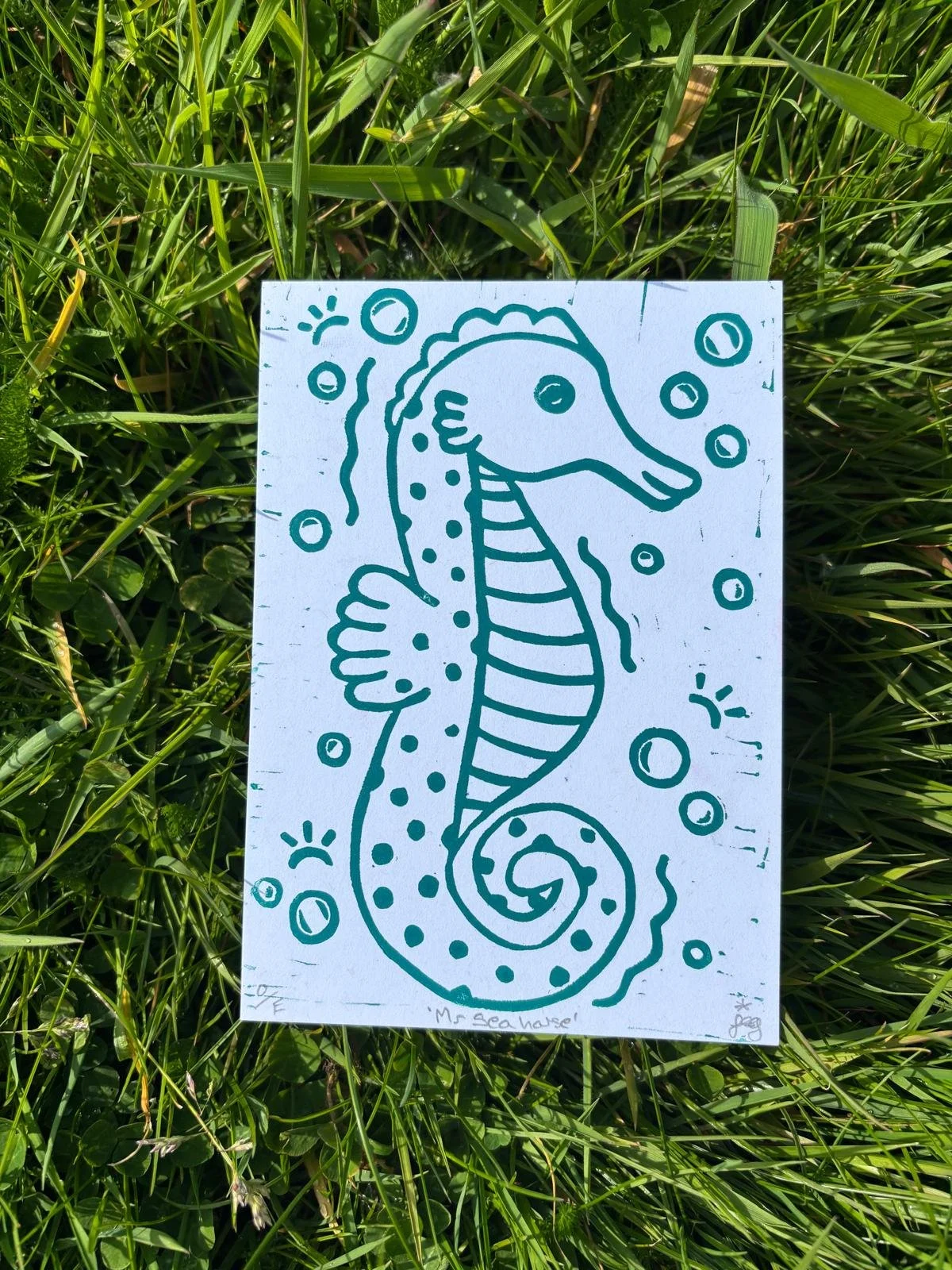 Mr. Seahorse