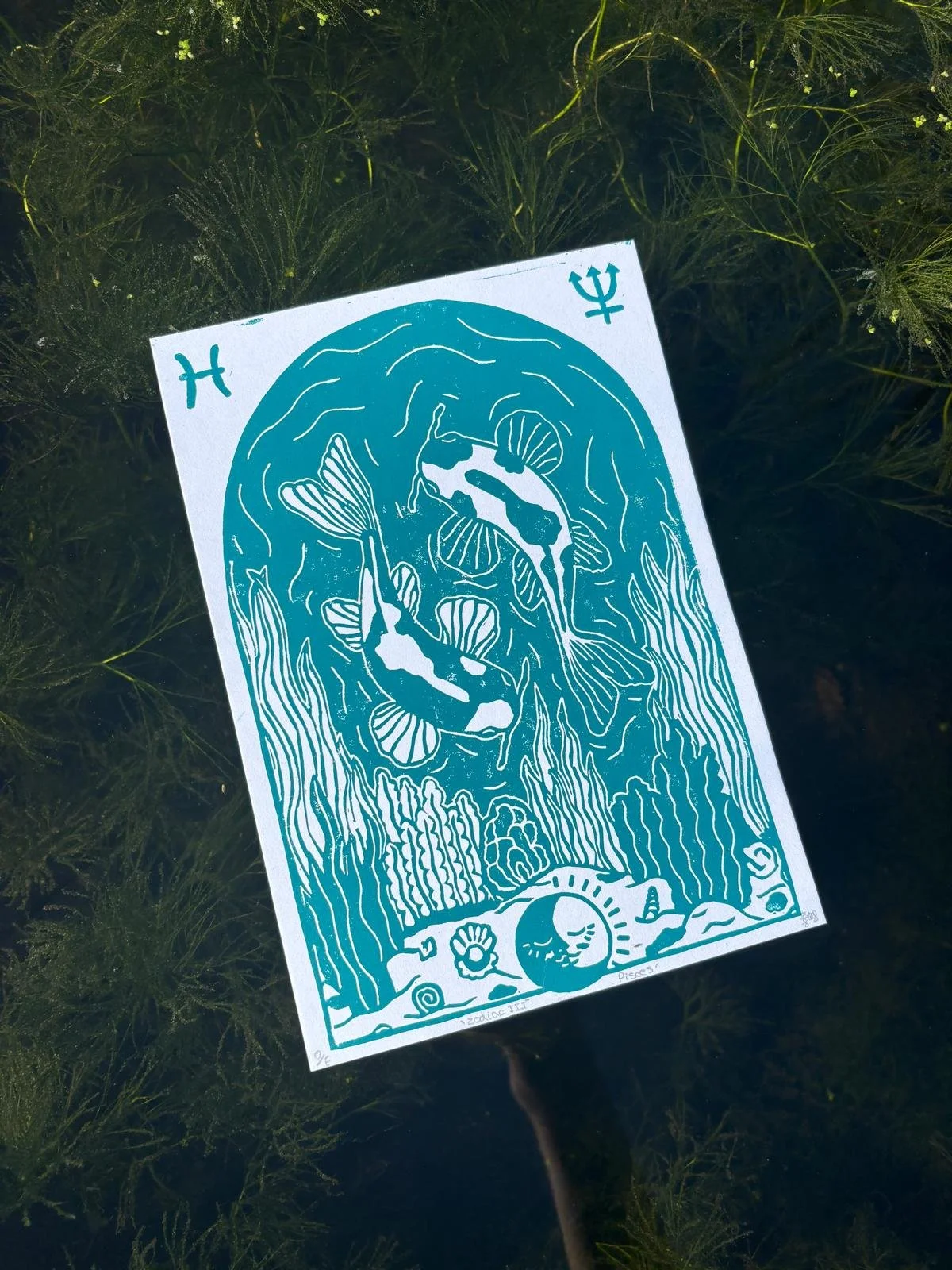 Zodiac III - Pisces.jpeg