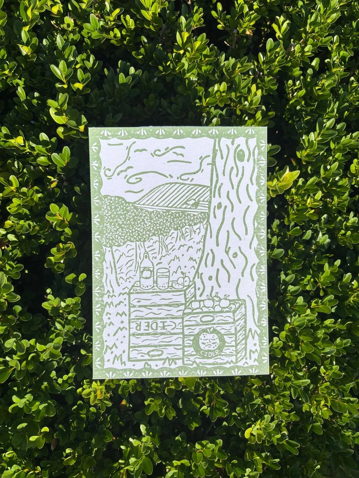 Apple Orchard 2.jpeg