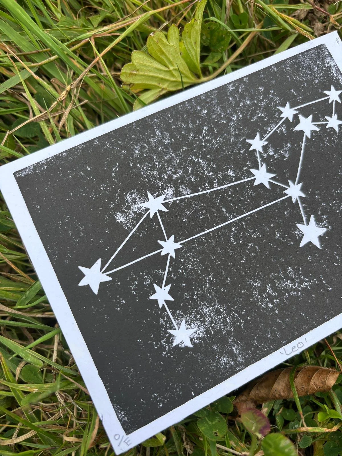 Leo Constellation L.jpeg