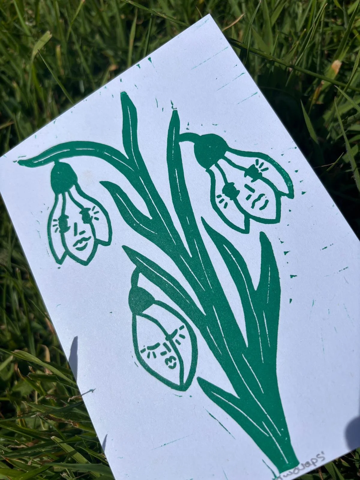 Snowdrops - closeup.jpeg