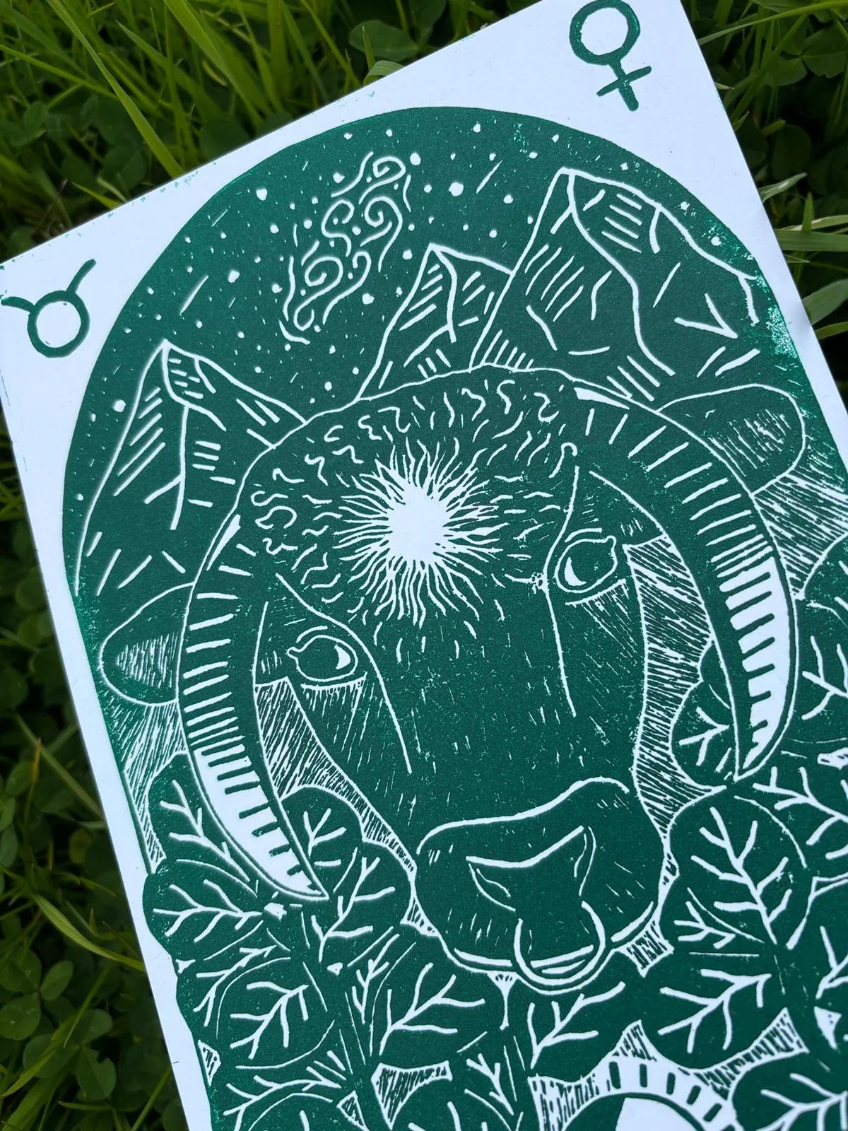Zodiac V ~ Taurus - closeup 2.jpeg