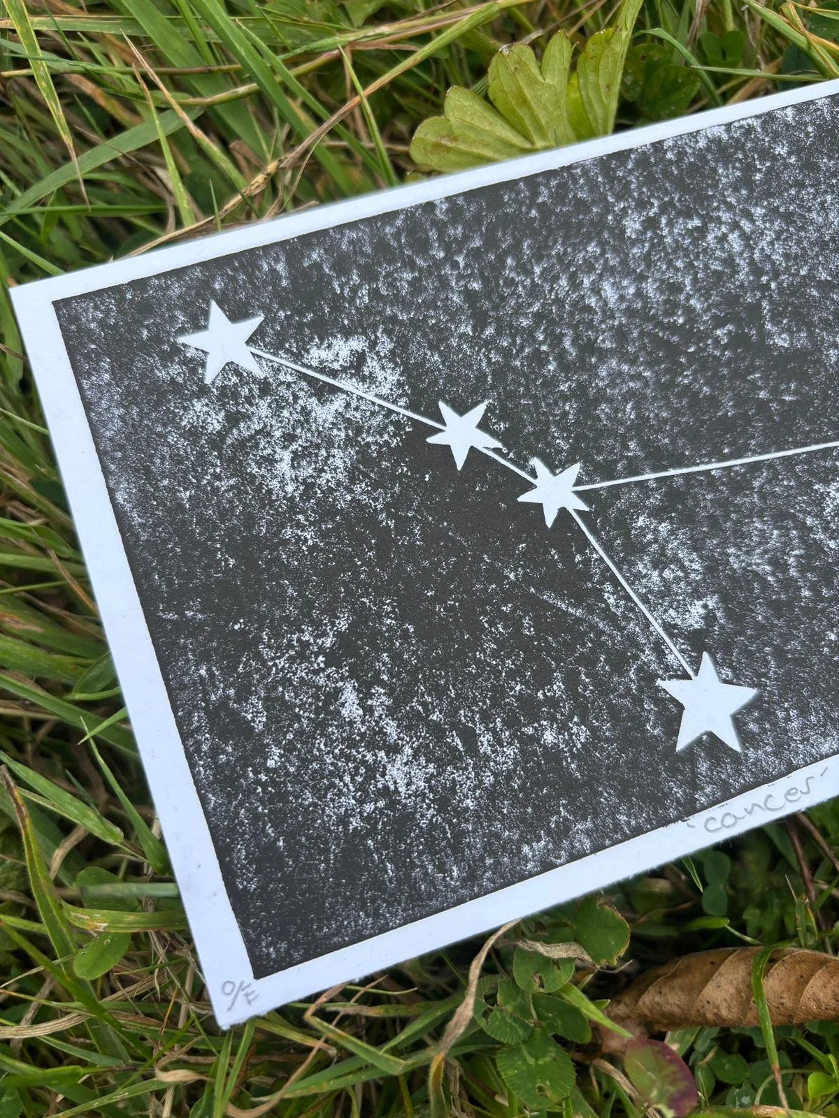 Cancer Constellation L.jpeg