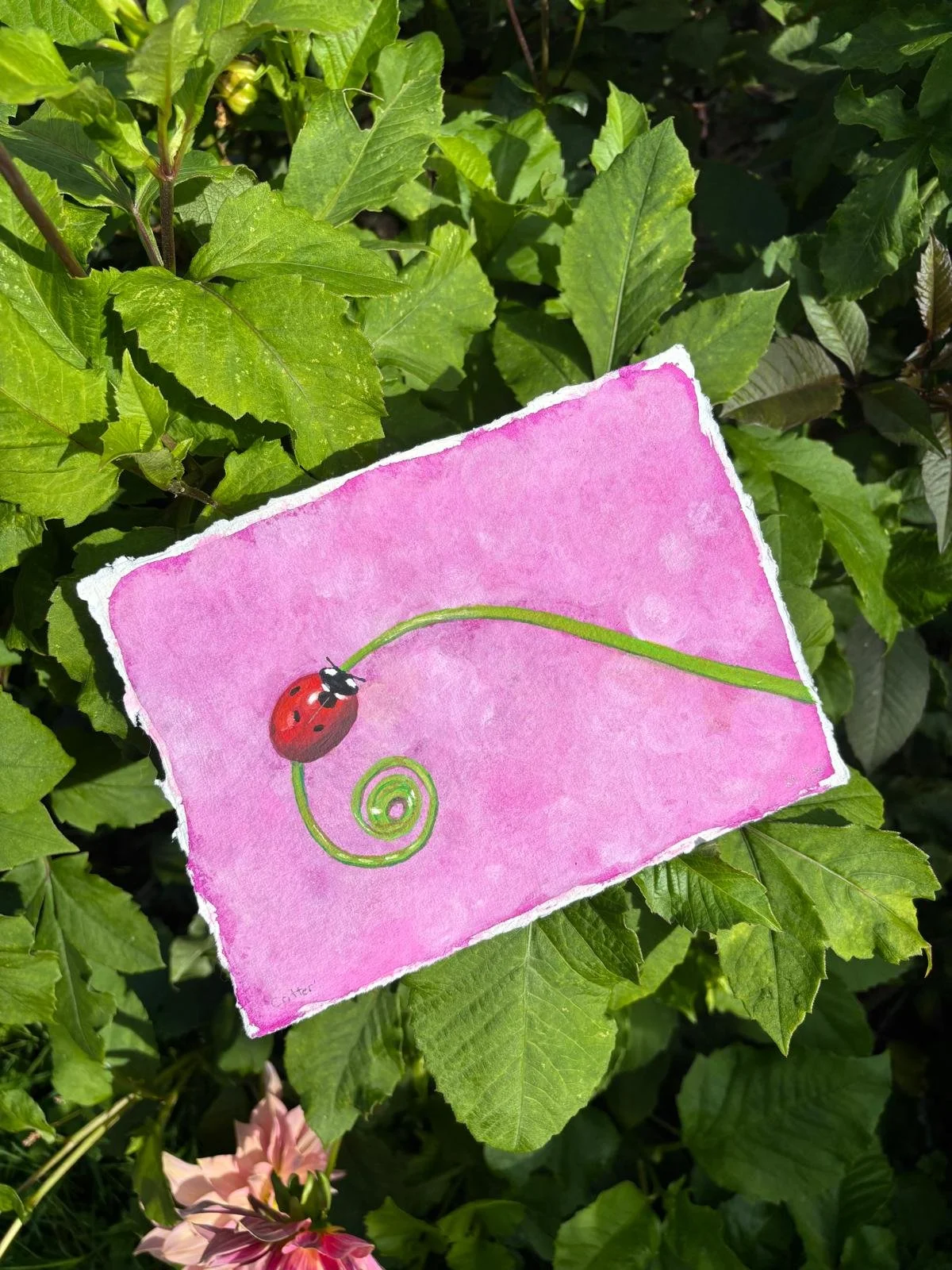 Lady Bug Painting.jpeg