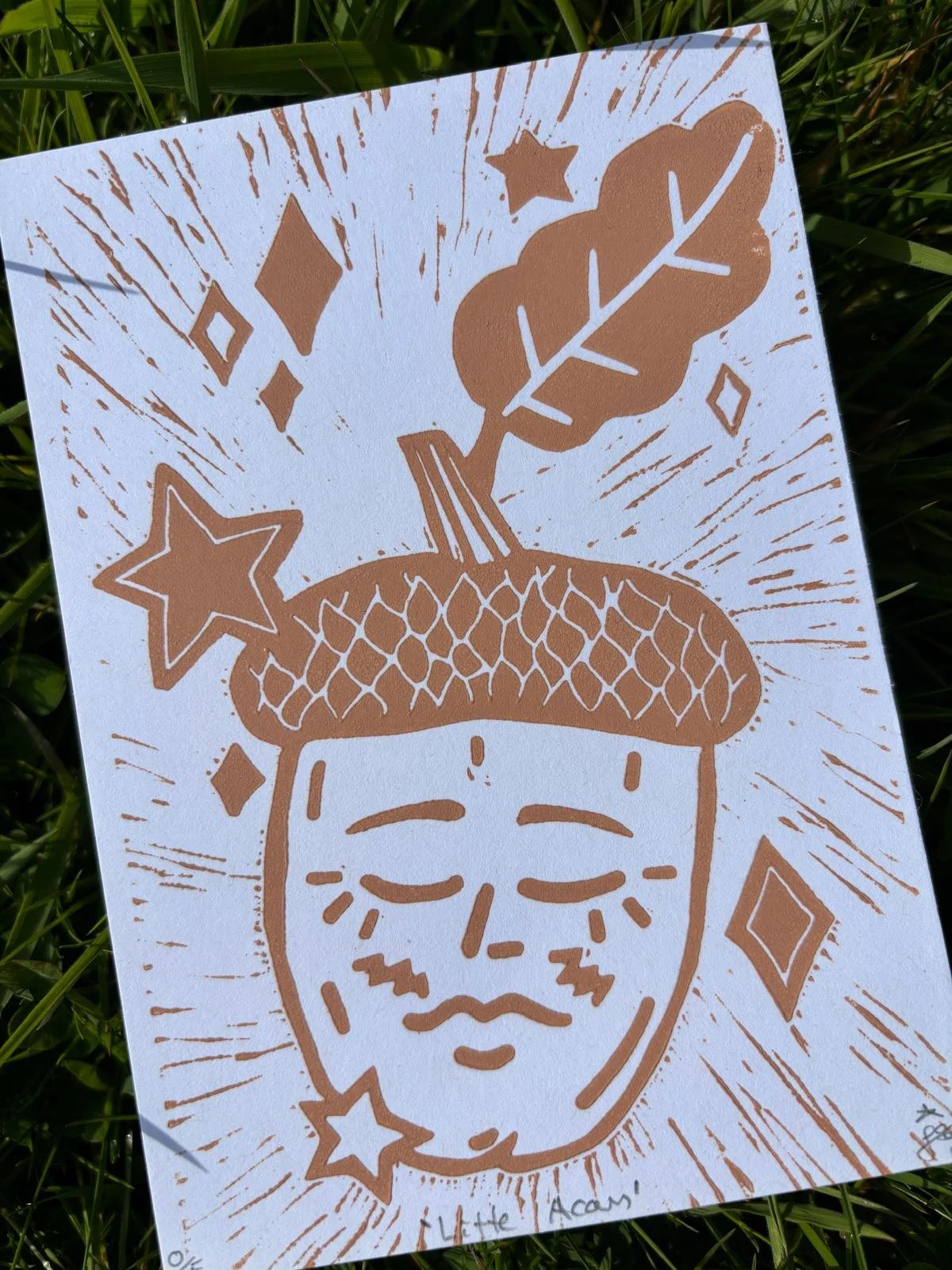 Little acorn - Closeup.jpeg