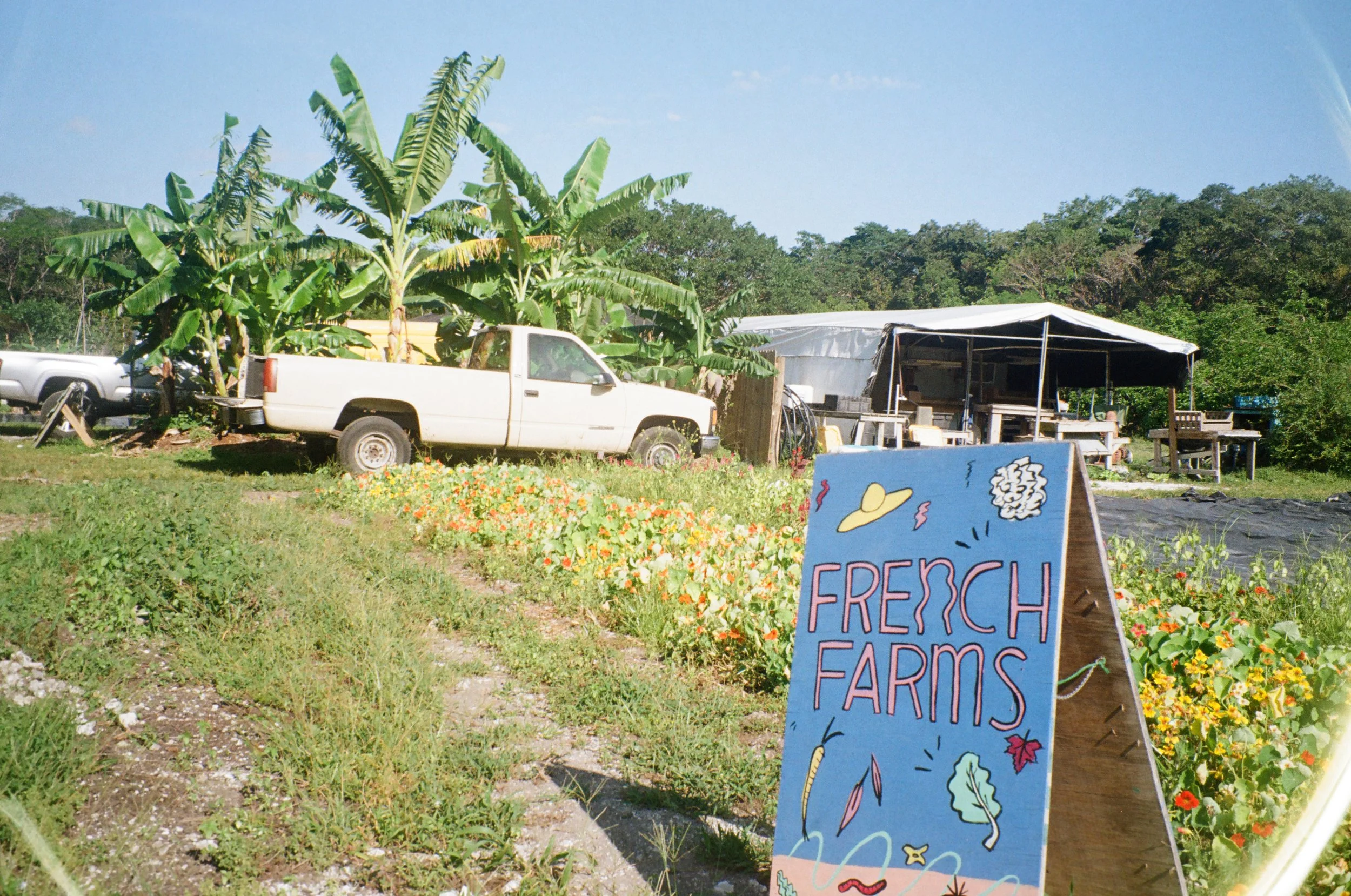 French Farms