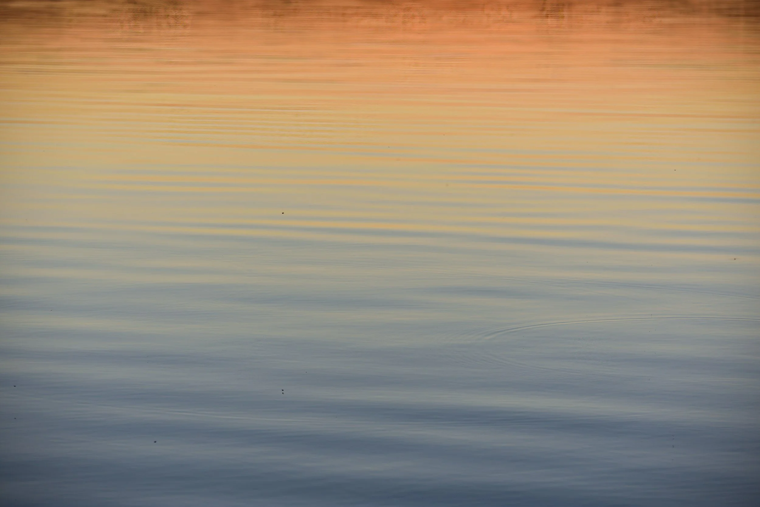 Calm water reflecting a soft pastel sky at sunset or sunrise, with gentle ripples on the surface.
