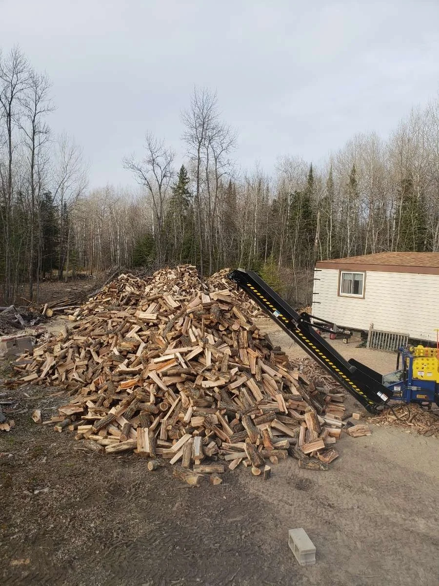 Wood processing.jpg