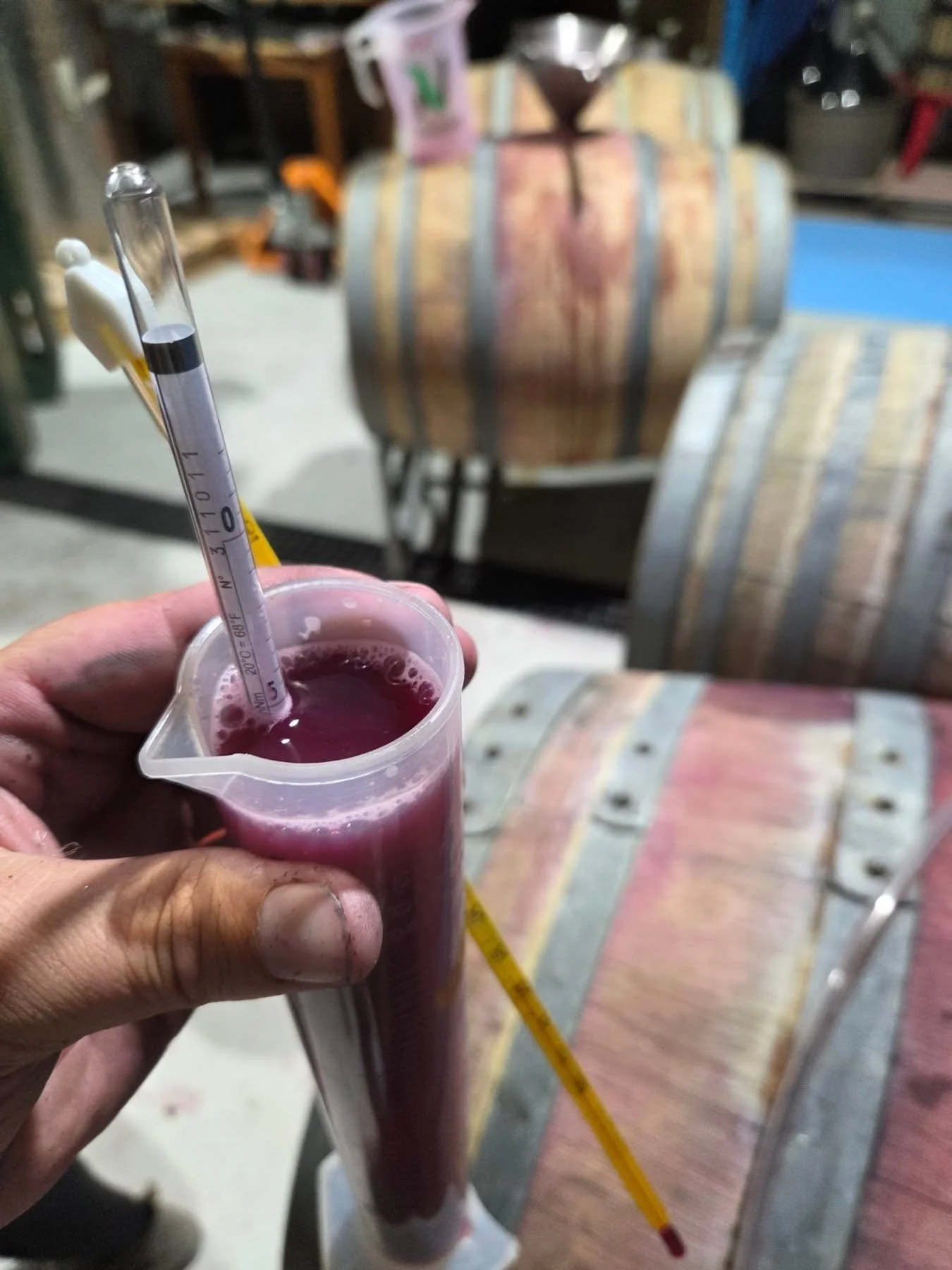 Ros&eacute; Carbonique on its way..
The cooler growing year brings less alcohol,  more acid and more vivid colour!
Every vintage tells a different story.