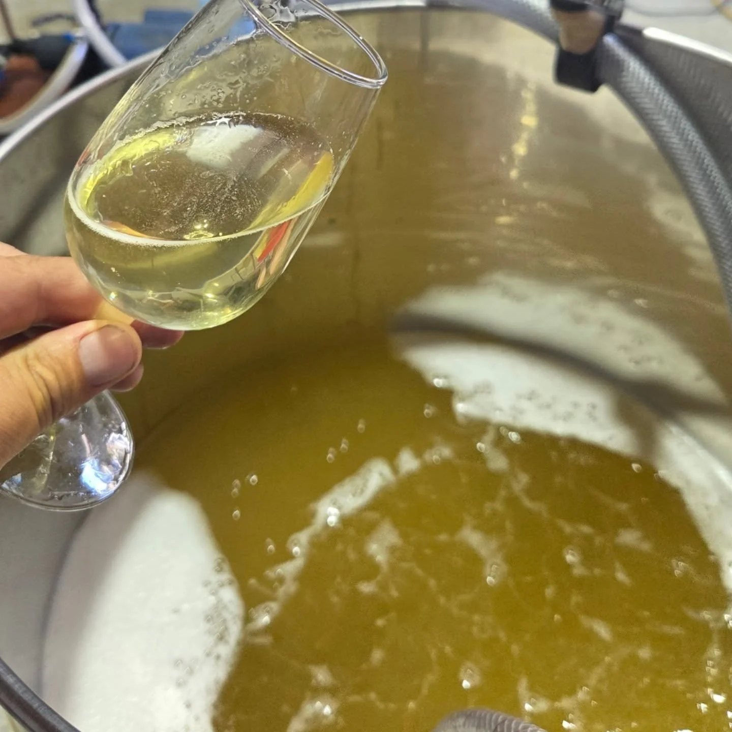 Visit this weekend for the launch of @birdhillvineyards , where we will offer our rare and delicious Chardonnay!!! 350 vines, one barrique, one amazing wine! 
Also enjoy our precious Ros&eacute; Carboniqu&eacute; and  powerful and generous 2025 Pinot
