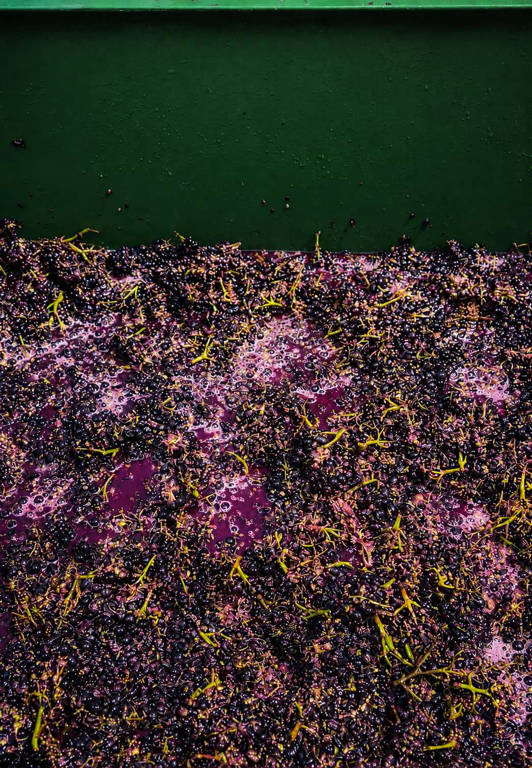 squashed grapes.png