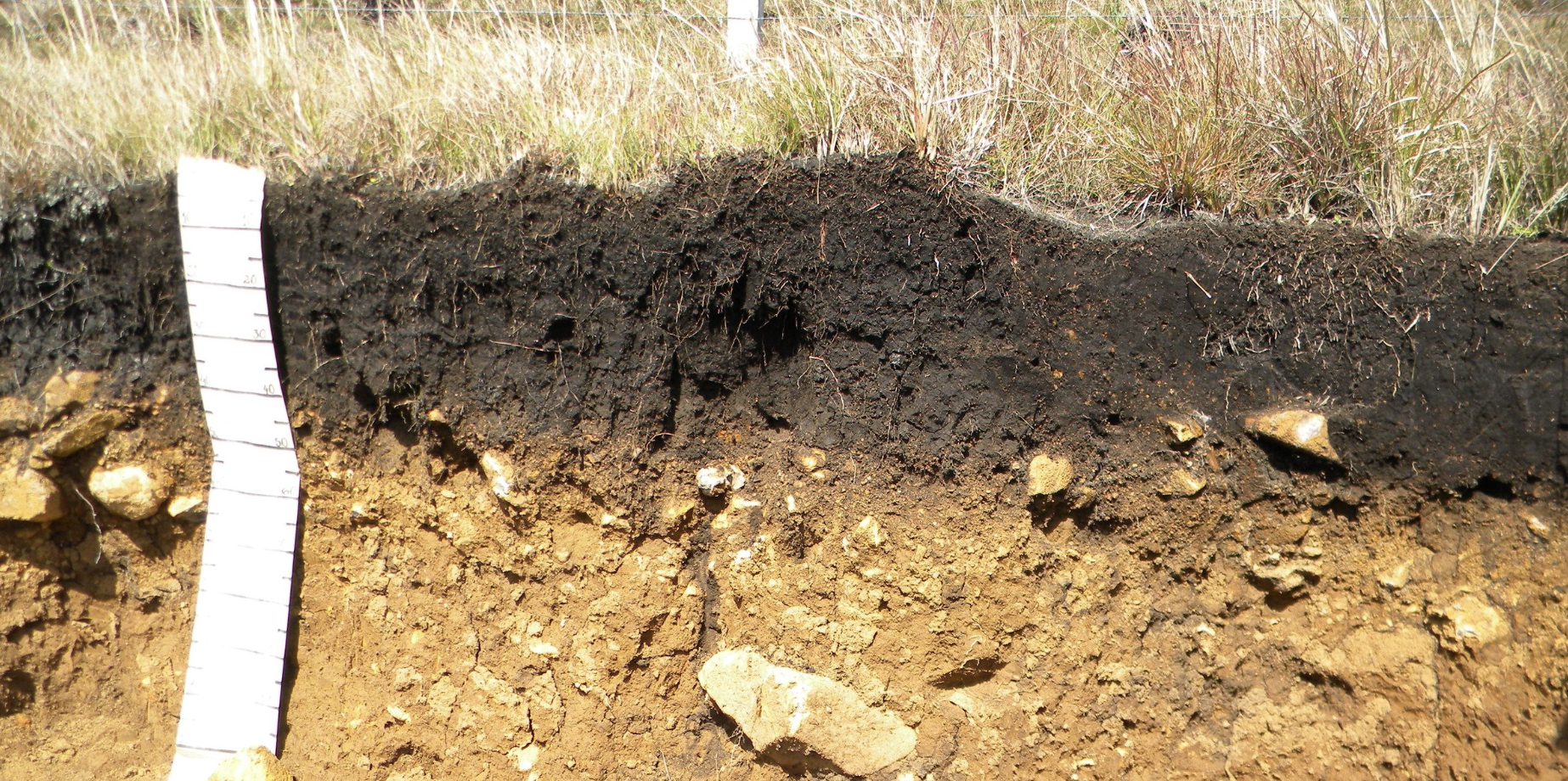 Contaminated soil profile illustrating environmental remediation, site cleanup, and corrective action planning