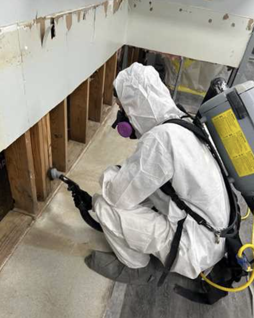 Commercial mold remediation and industrial hygiene support inside a moisture-damaged building