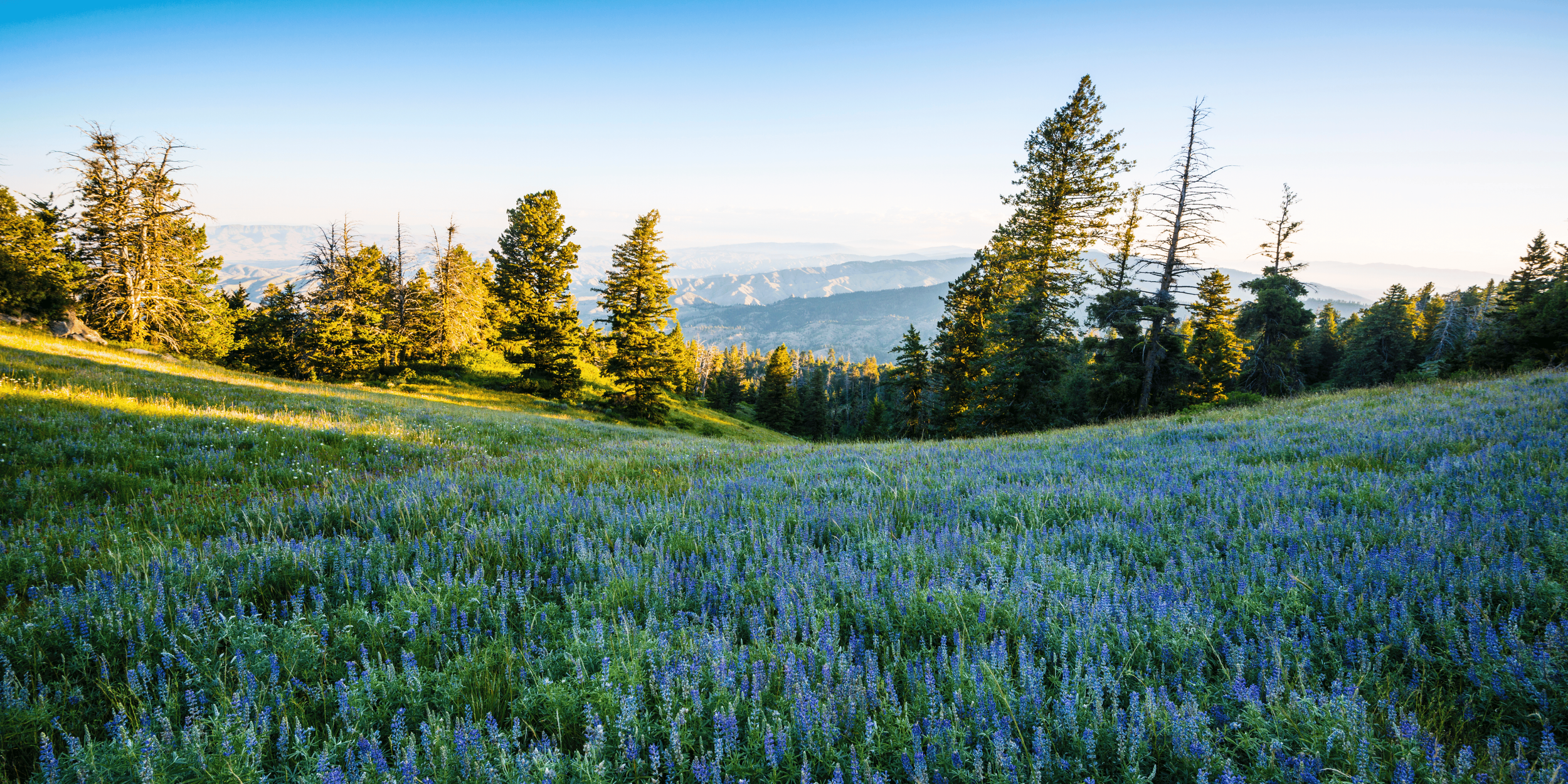 Restored natural landscape in Idaho representing successful environmental remediation and land reuse following site cleanup