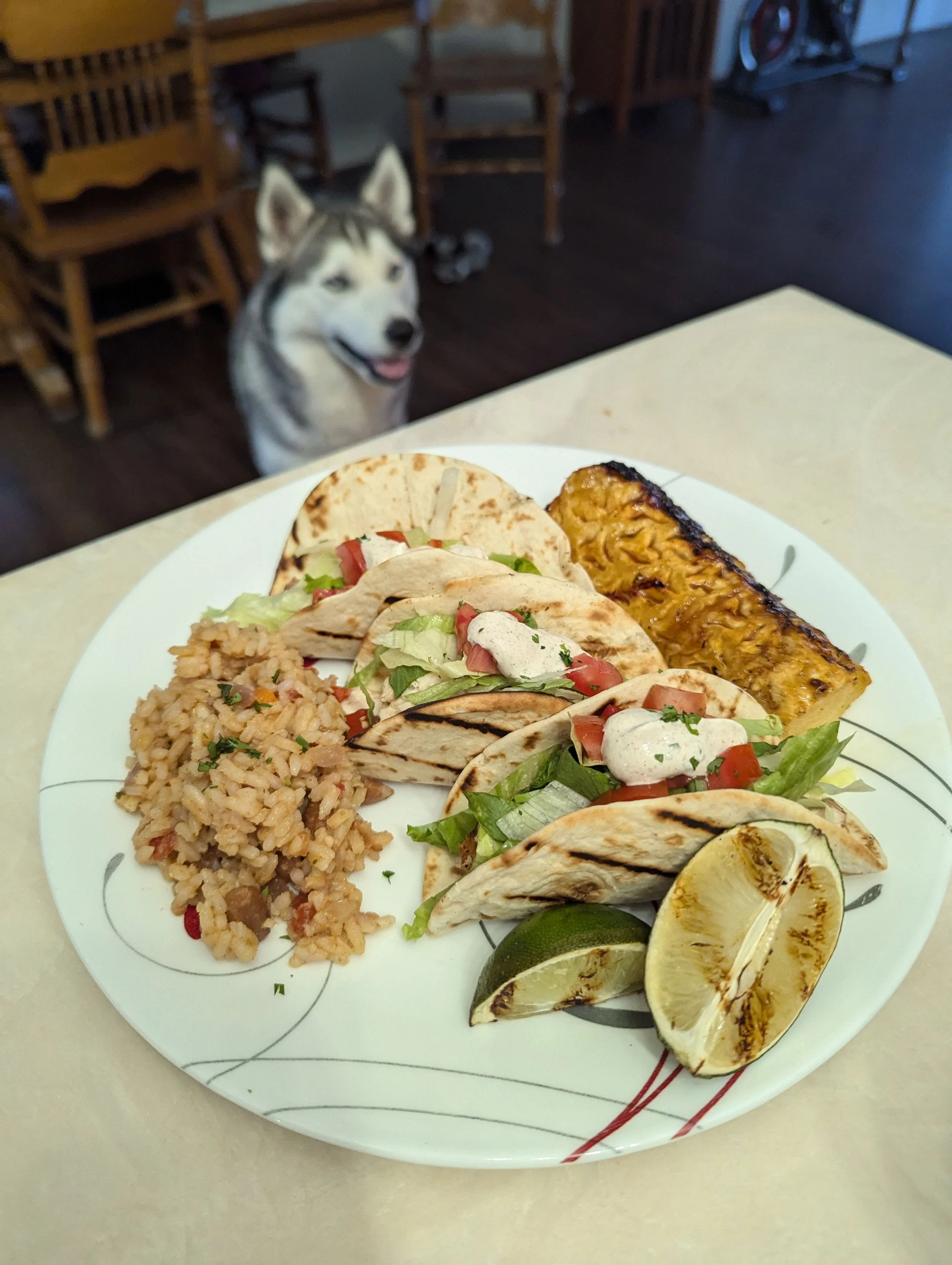 Plate of Mexican food with grilled tacos, rice, grilled fish, and lemon and lime wedges, on a dining table with a Siberian Husky looking in.