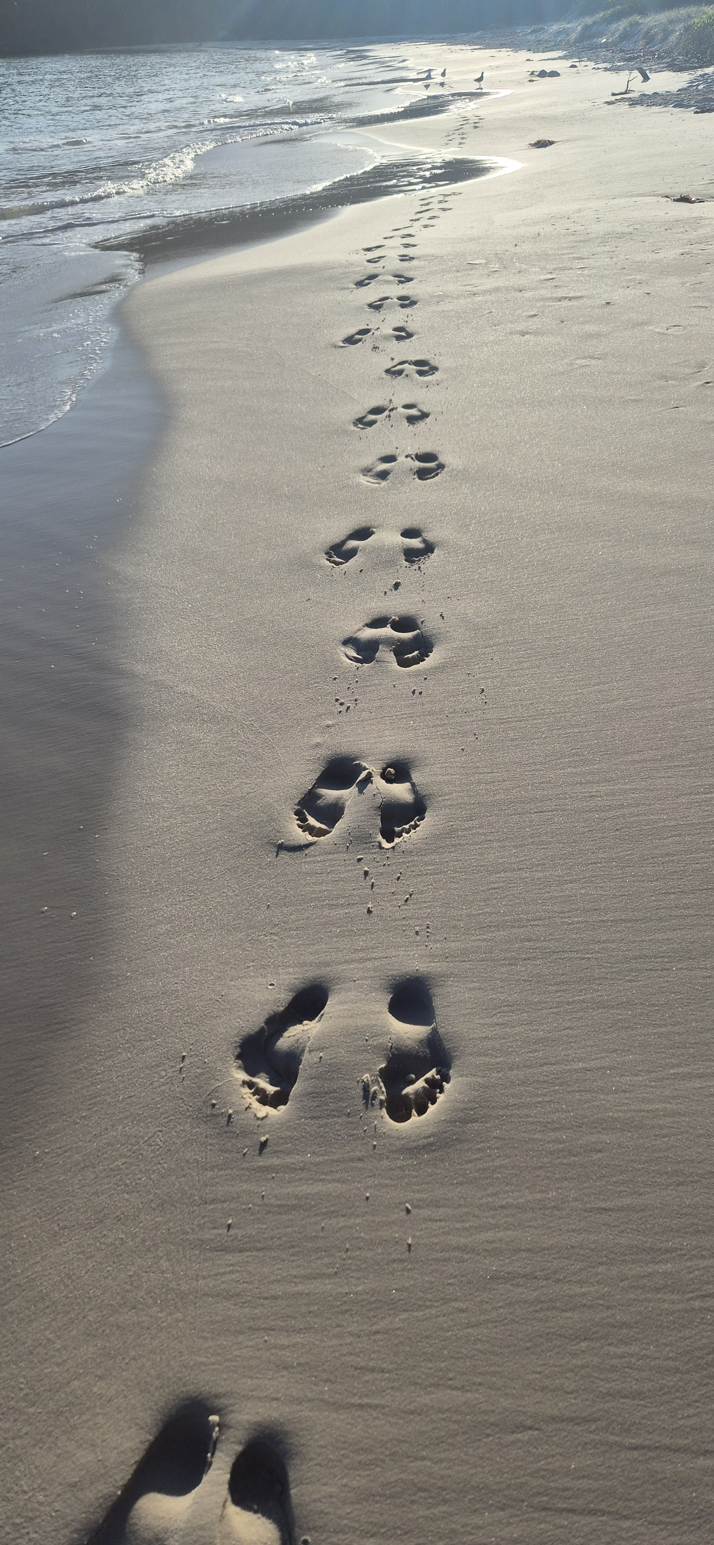Footprints in the sand on a beach - people connecting with nature and community on a camping retreat