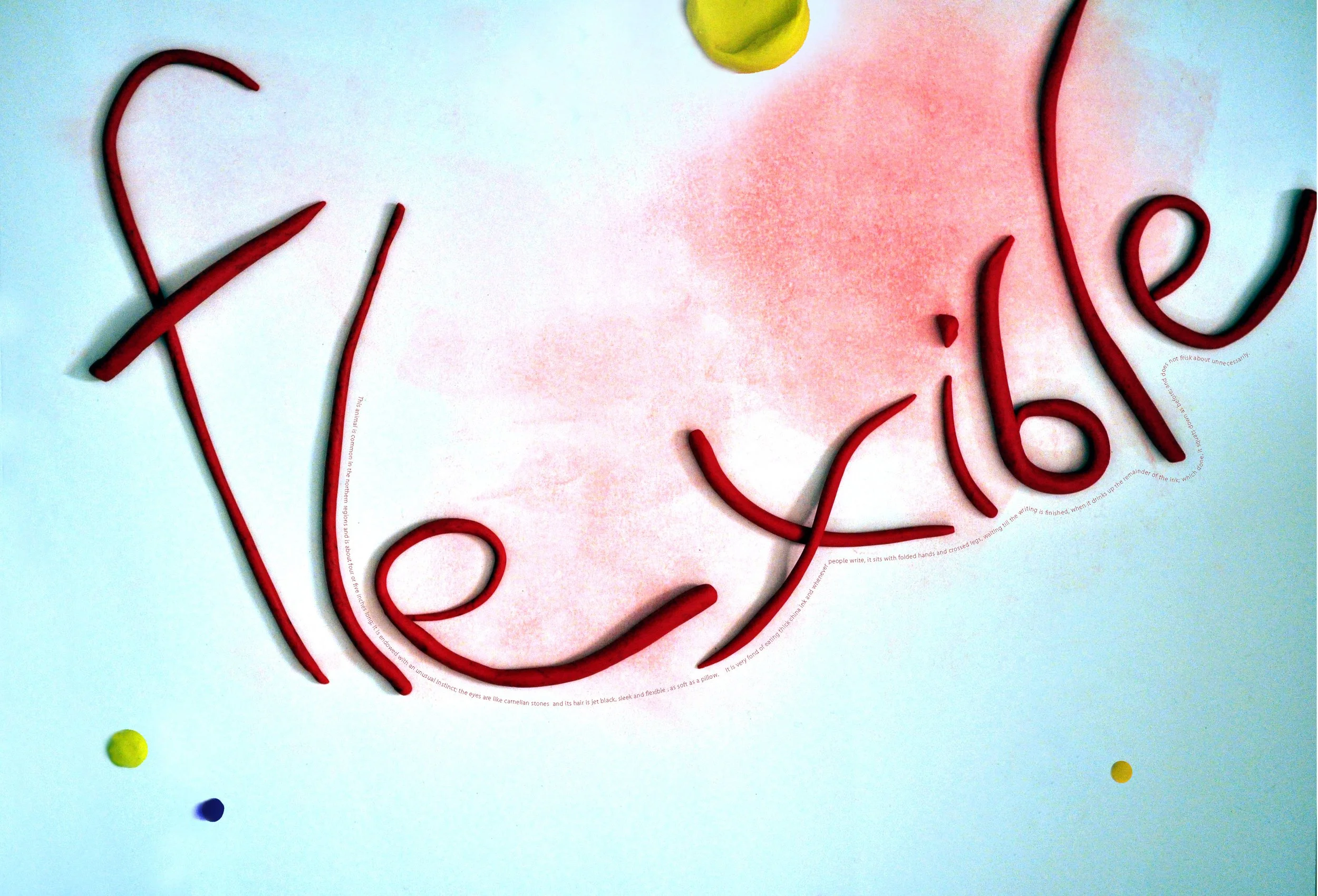 Typography, Signage & Wayfinding