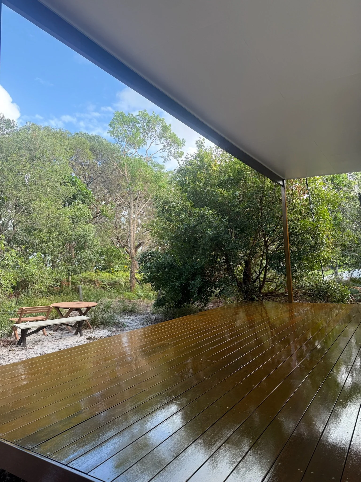 View from a covered porch showing a shiny, wet wooden deck with green trees and bushes in the background, and a blue sky with some clouds.