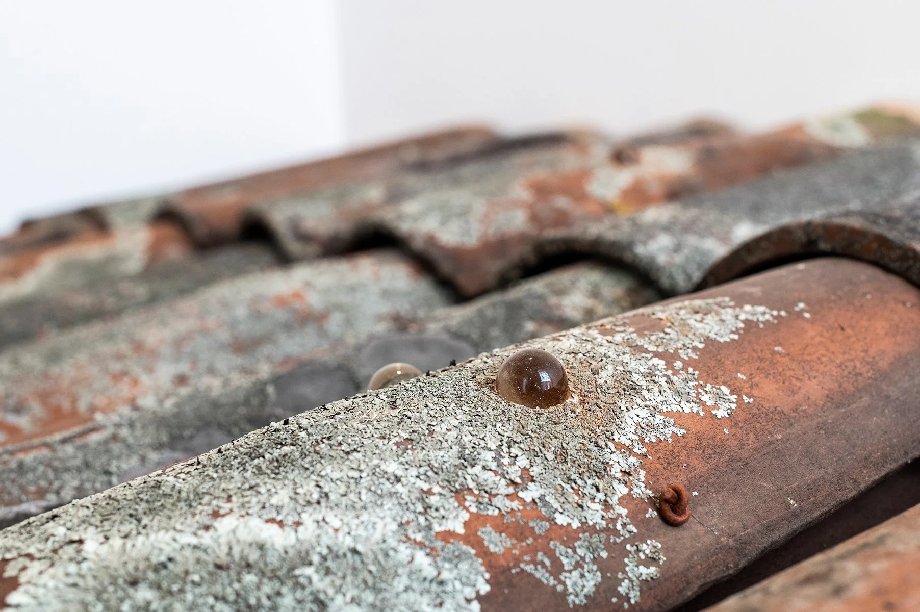 20230217-Jorge Rosano_En el En Medio-DSC_1143 copy.jpg