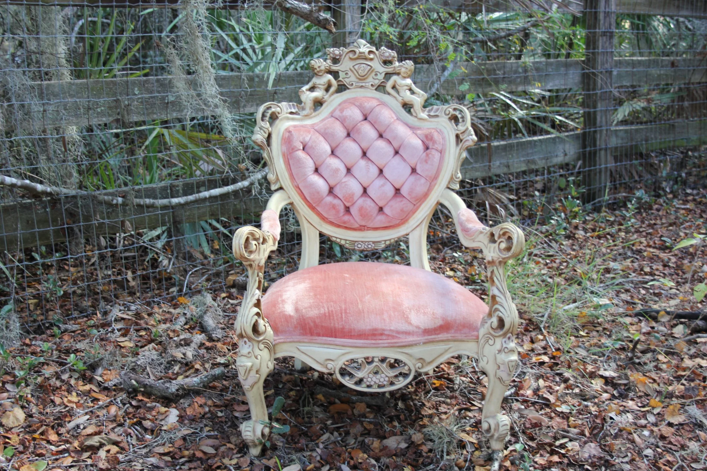 Carved Blush Velvet Accent Chair