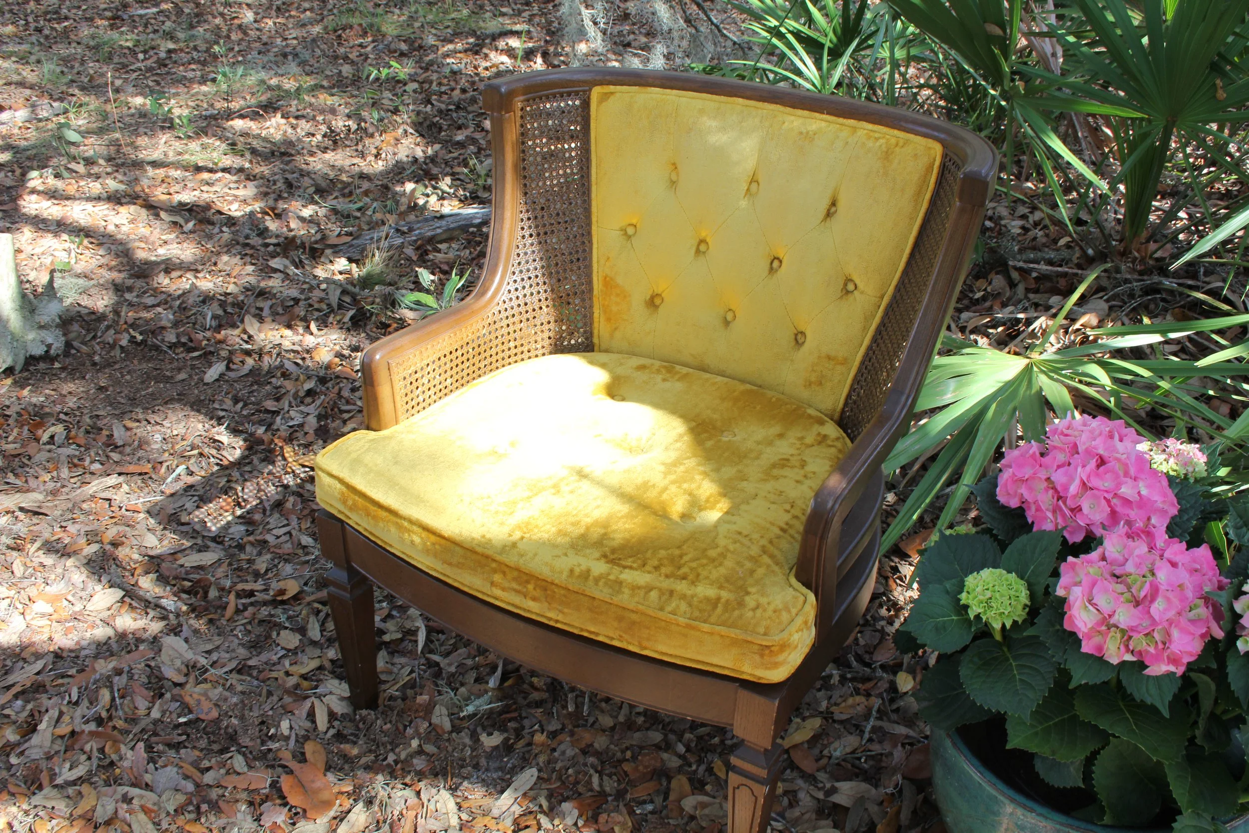 Golden Velvet Cane Chair