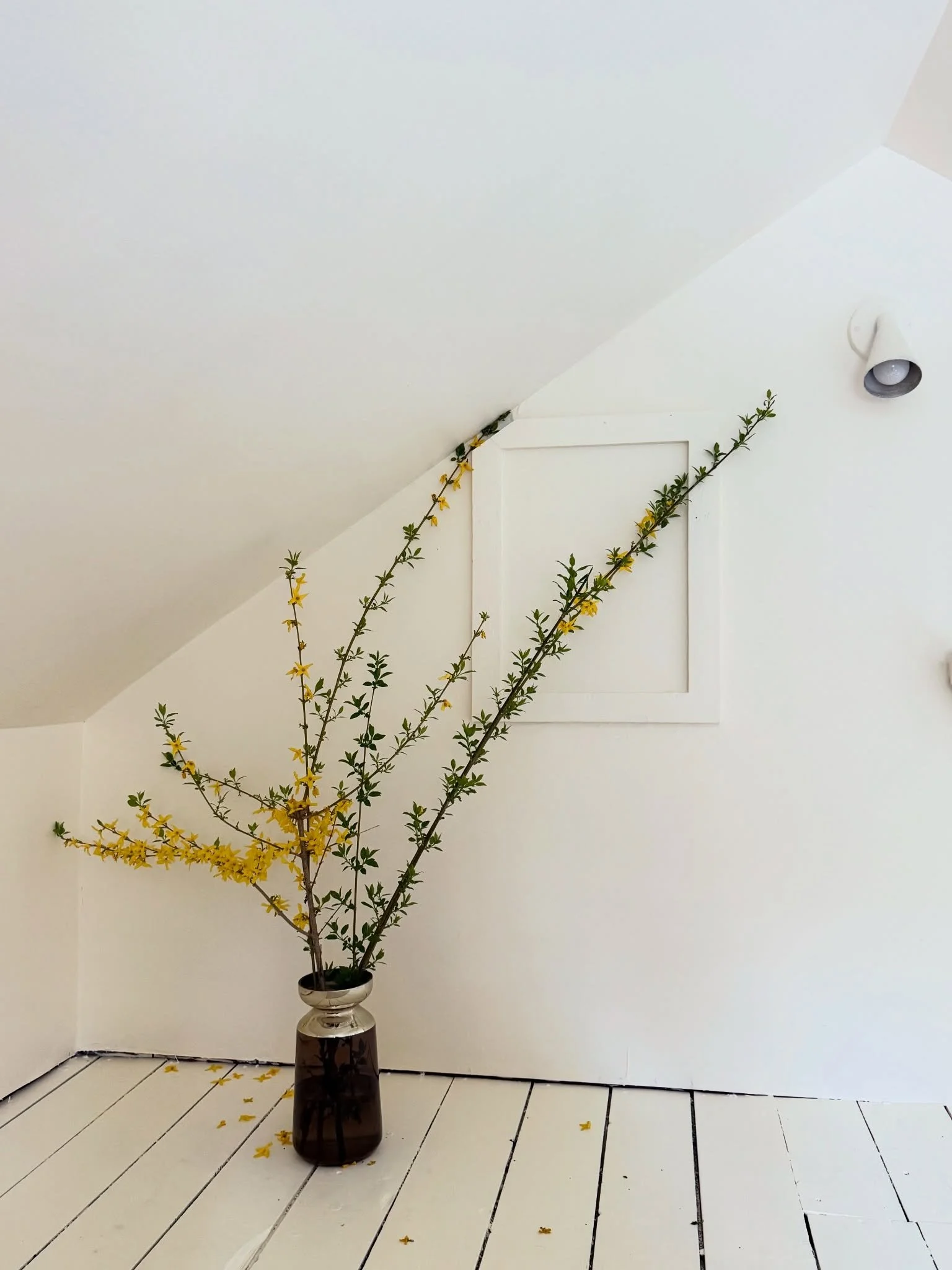 I promise I will share some legitimate house updates soon for all of the no one who is asking, but in the meantime, enjoy this beautiful forsythia I cut from our yard. 

#spring #homerenovation #diy #oldhouse #oldhouselife