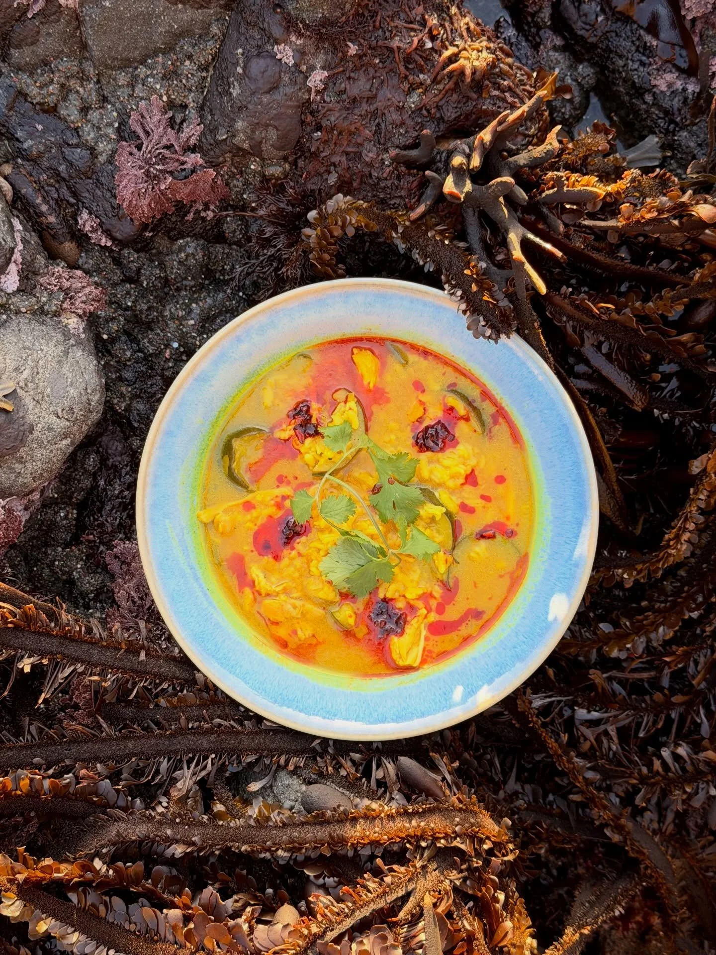 📣 In case you miss us at @heartwood_mendocino this weekend, we&rsquo;ll be at @valeriemendocino tomorrow (Saturday, Feb 7) from 12-3p!

We&rsquo;ll be serving&hellip;

🍜Ginger Chicken and Rice with zucchini&nbsp;
🍲Polenta with Kale and Crispy Pros