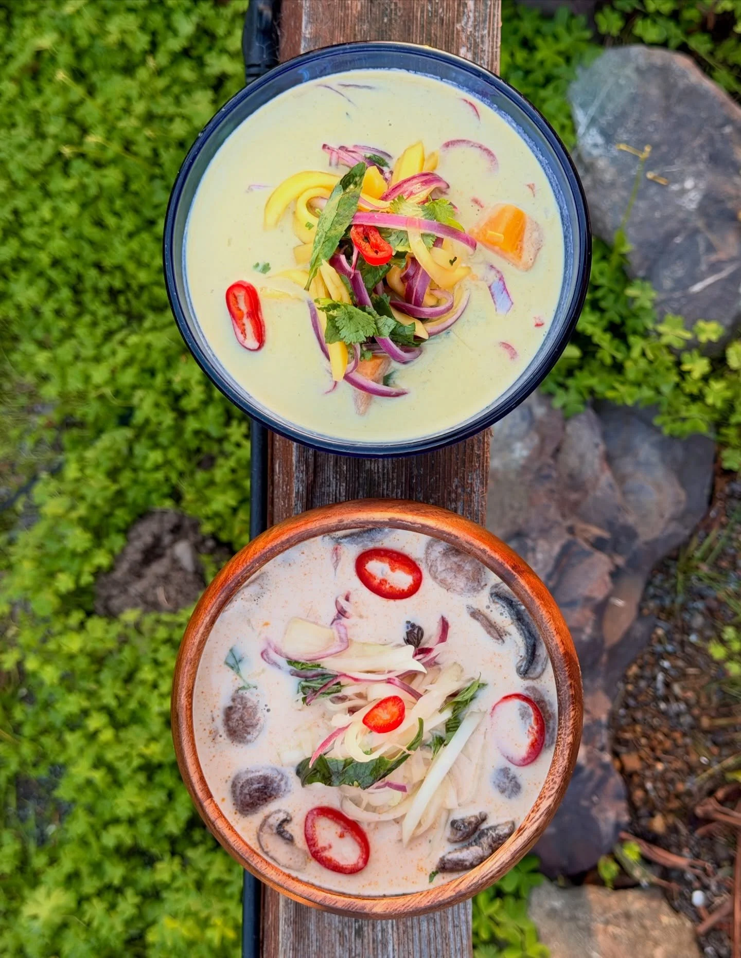 📣 We&rsquo;re officially here, announcing our first thing! ☺️

Come join us for a meet &amp; greet and delicious soup! We&rsquo;ll be at @valeriemendocino on Saturday, January 31 from 12-4p or until we sell out. On the menu we&rsquo;ll have&hellip;
