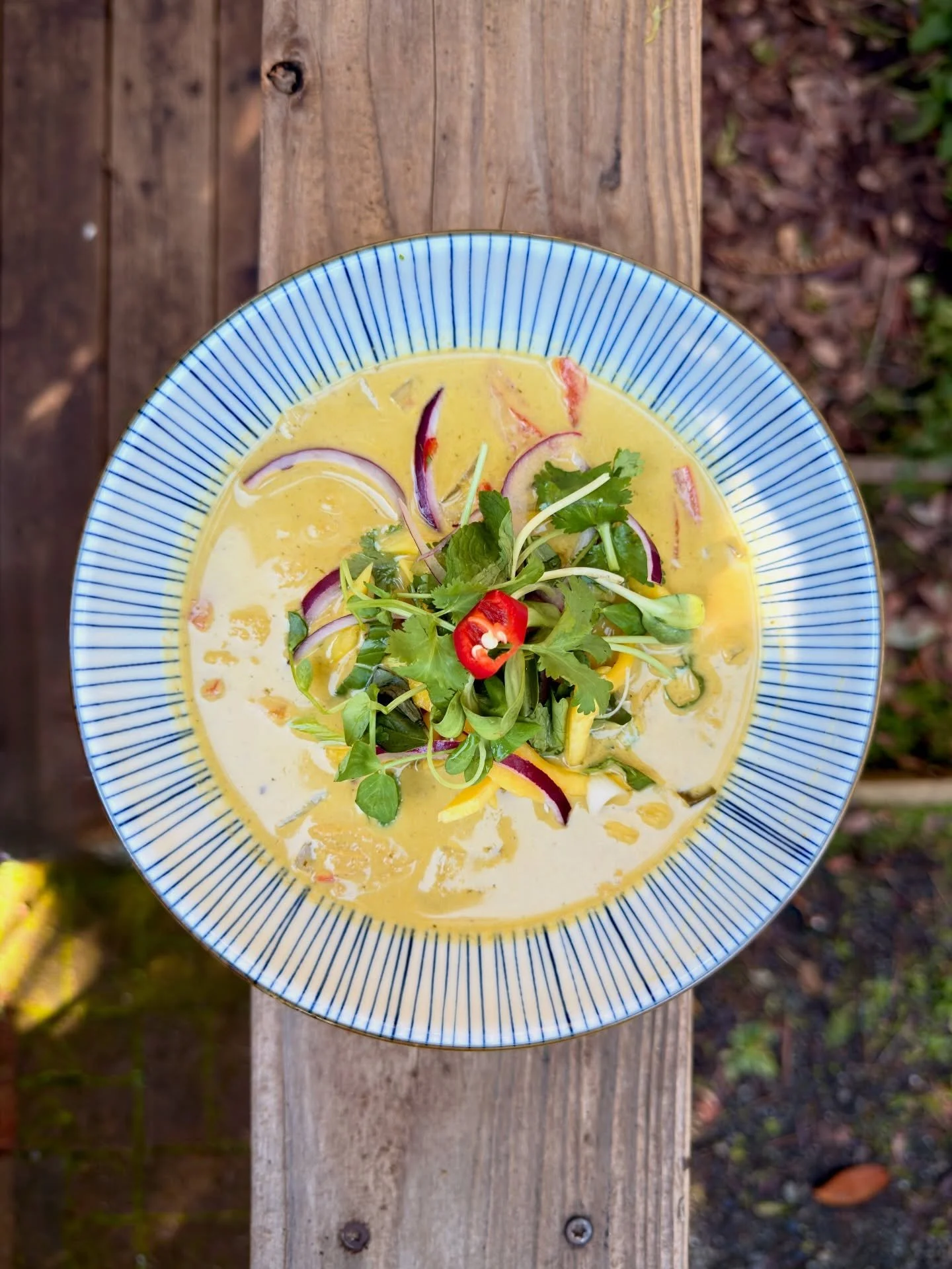 Experimenting with flavors and textures ahead of our first pop-up later this month in Mendocino Village! Green Tom Kha from the Mendocino Coast. 🤤 

Follow @mendosoupco to stay in the loop 🙏🏼

#mendosoupco #tomkha #souplove #californiacoast