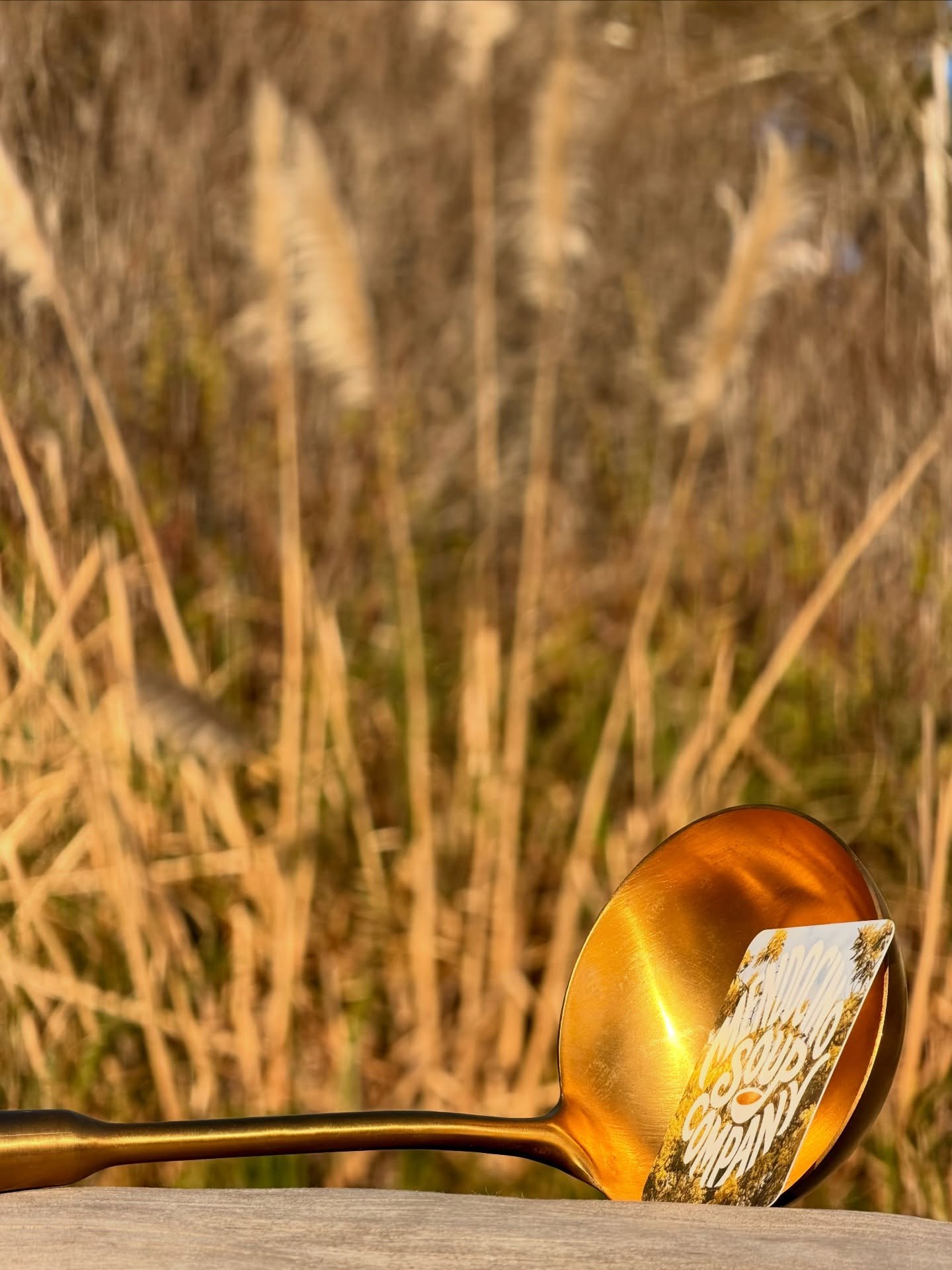 Behind the scenes curating an experience with soup together 🙏🏼

#mendosoupco #soupguy #mendocino