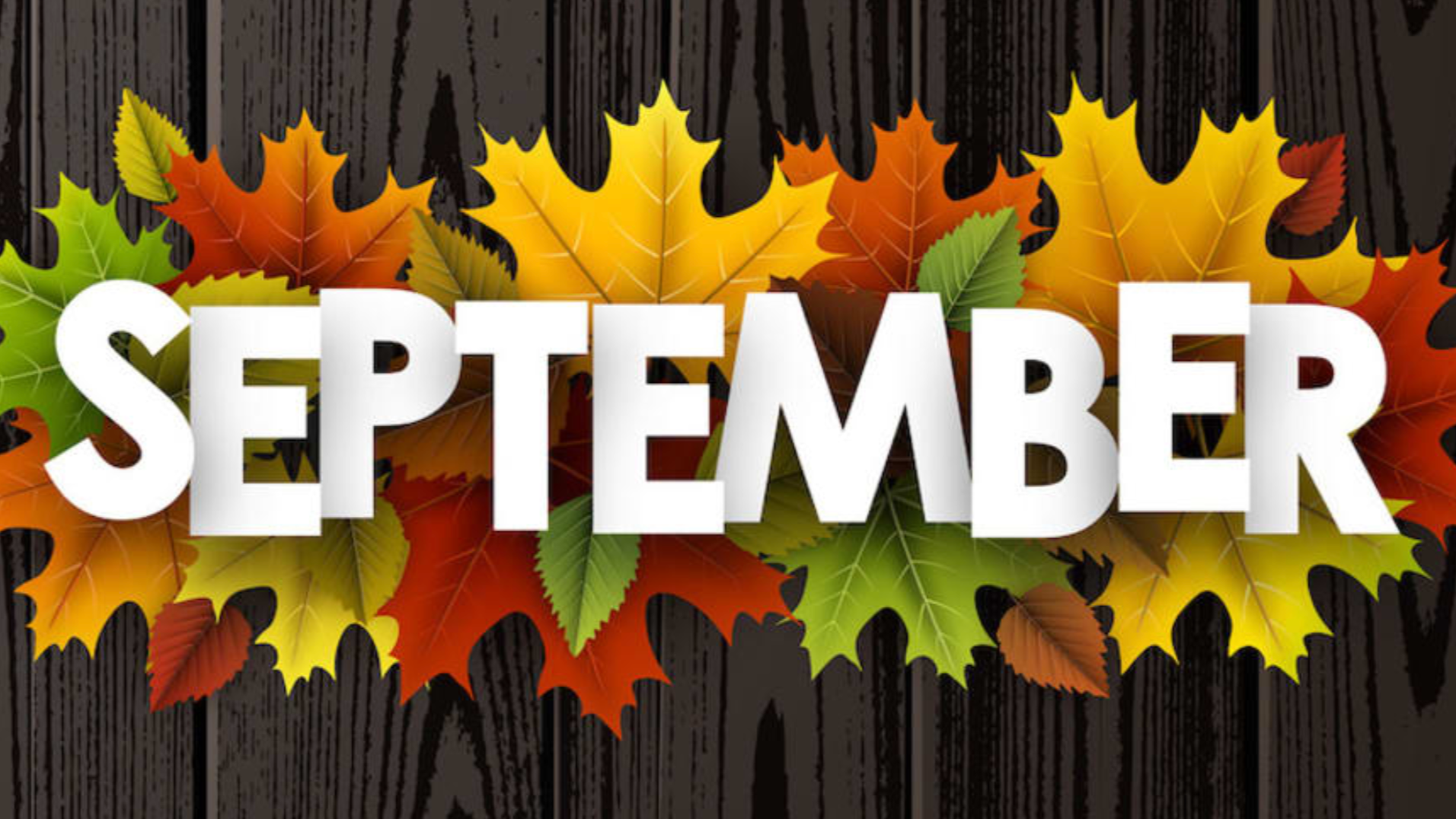 September 2026