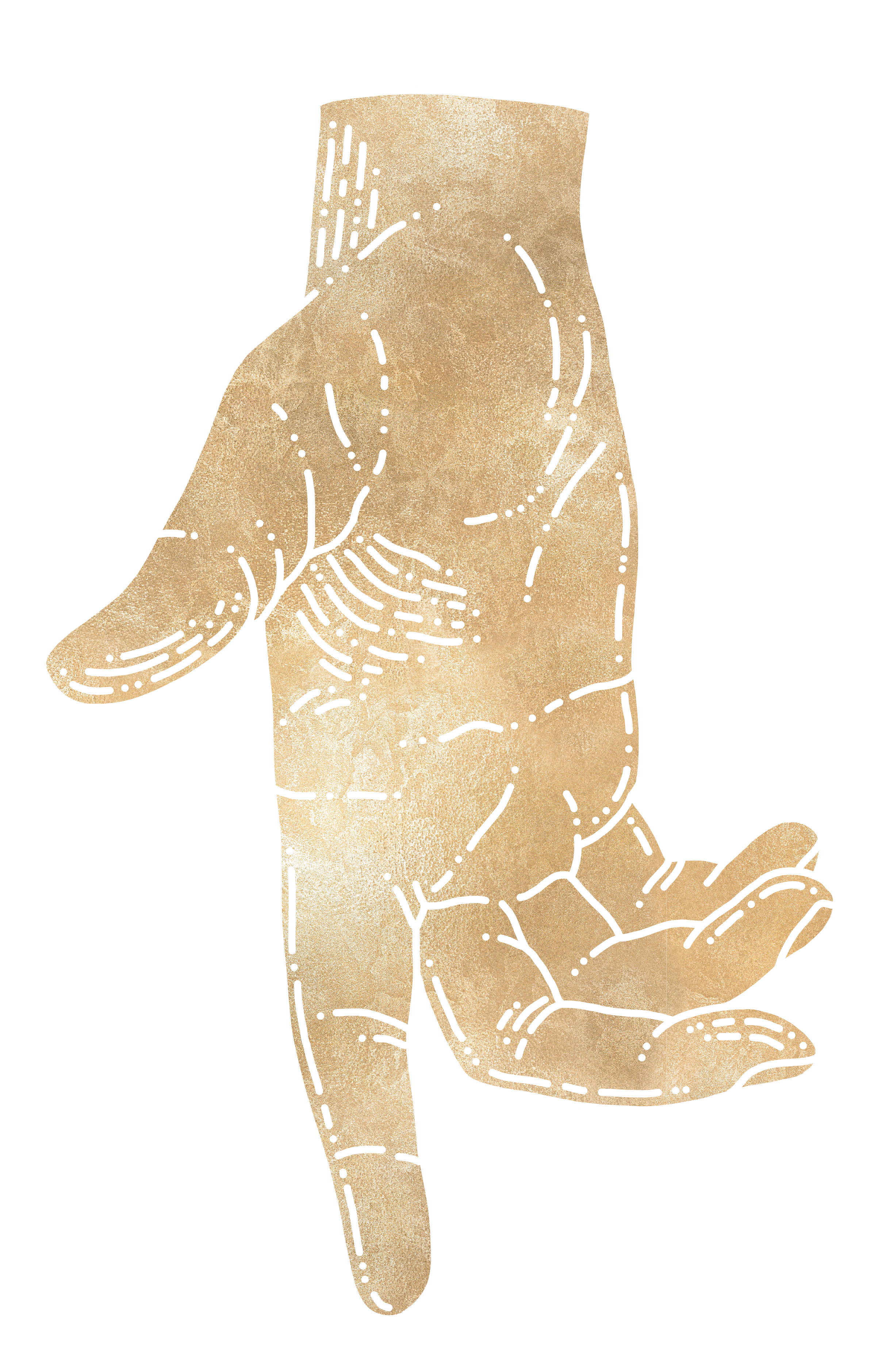 Illustration of a human hand with anatomical lines and textures, depicted in beige on a black background.