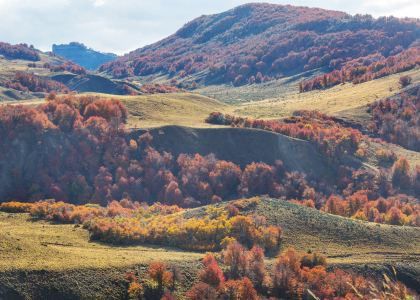 The Soft Ache of Autumn