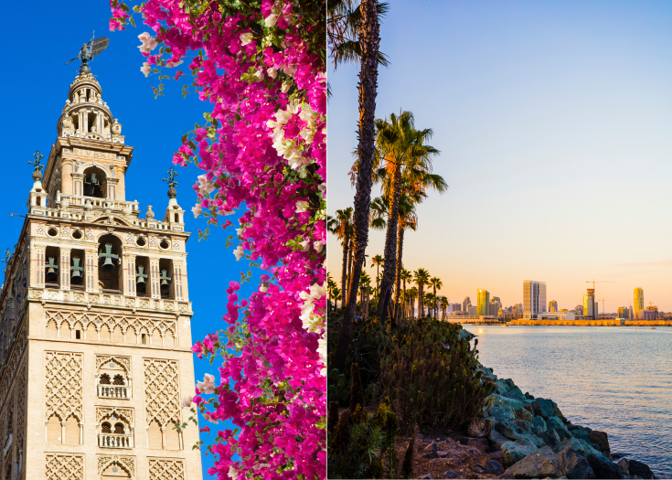 The Courage to Let Go of a Dream