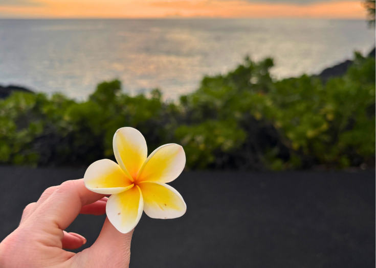 Navigating the Healing Waters of Grief