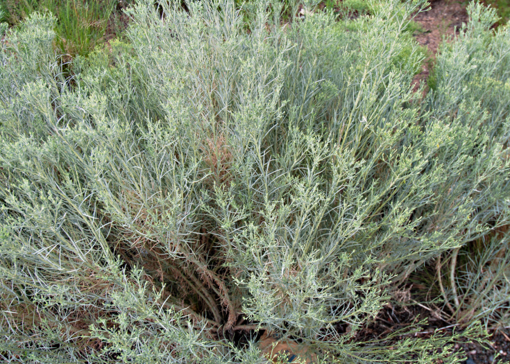 The Sacred Unraveling