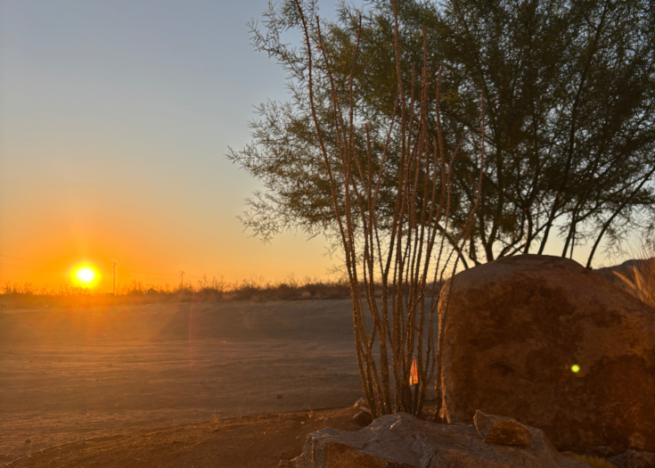 Sunlight, Sagebrush and Coming Home