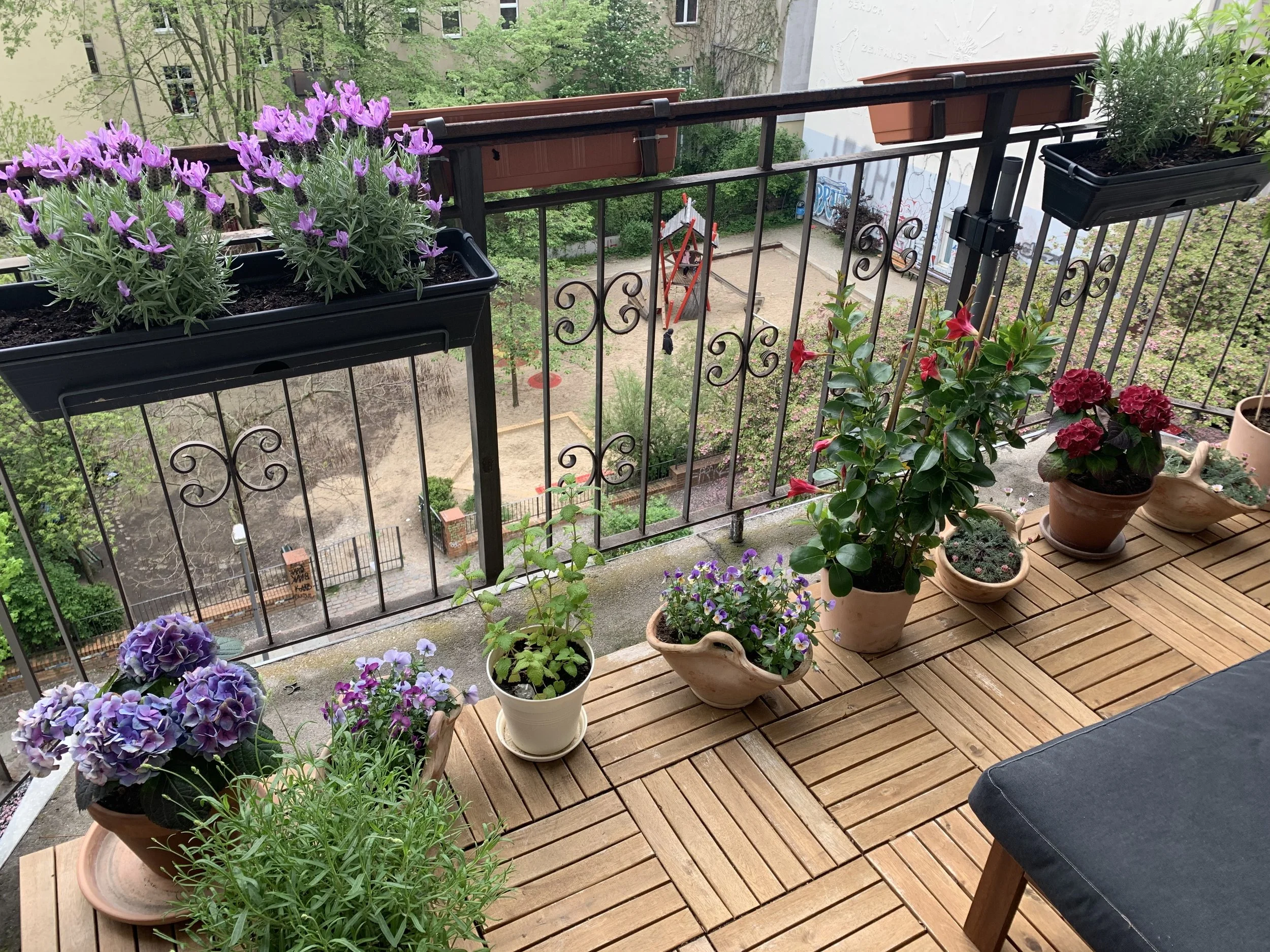 Balcony garden with potted plants and flowers, including purple and red blooms, overlooking a courtyard with greenery and a swing.