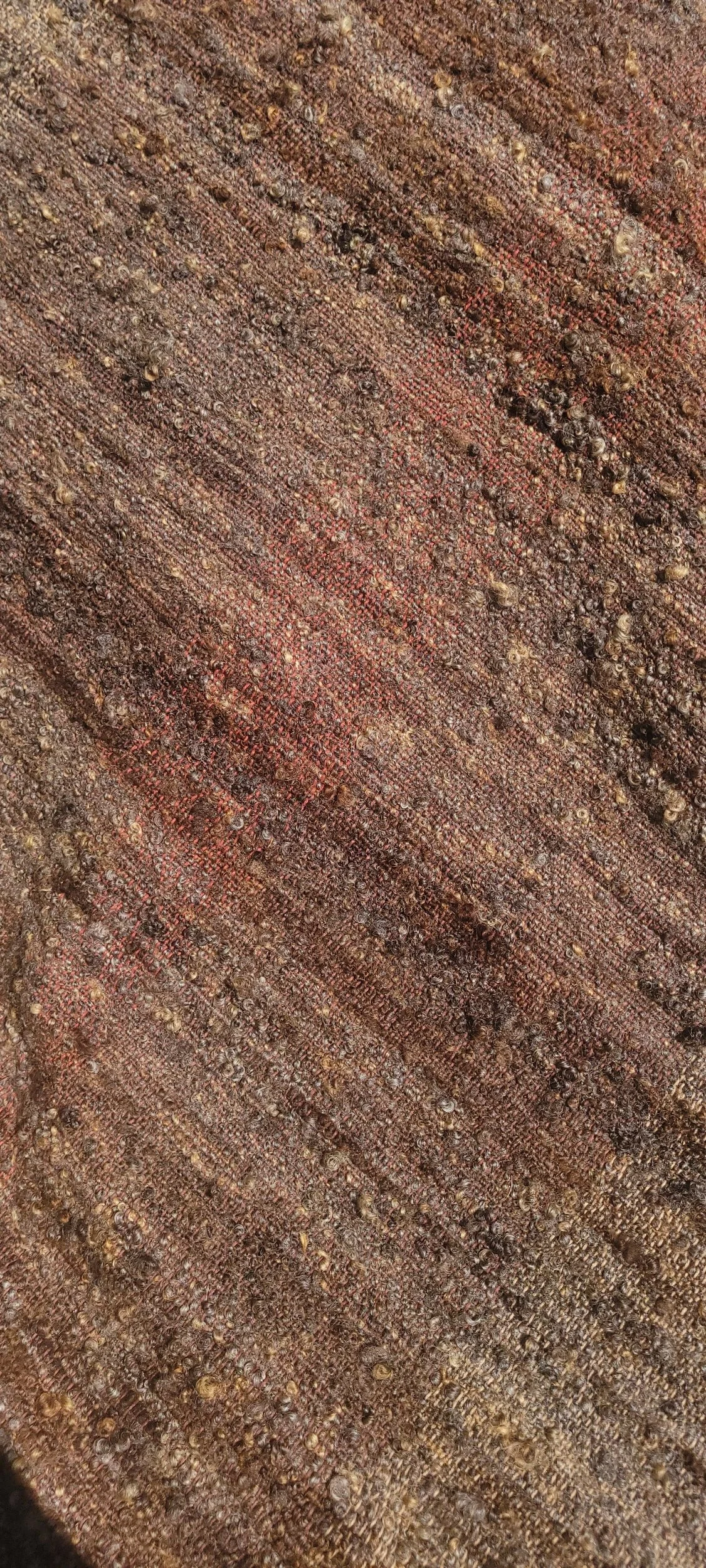 processed_1000018261.jpg