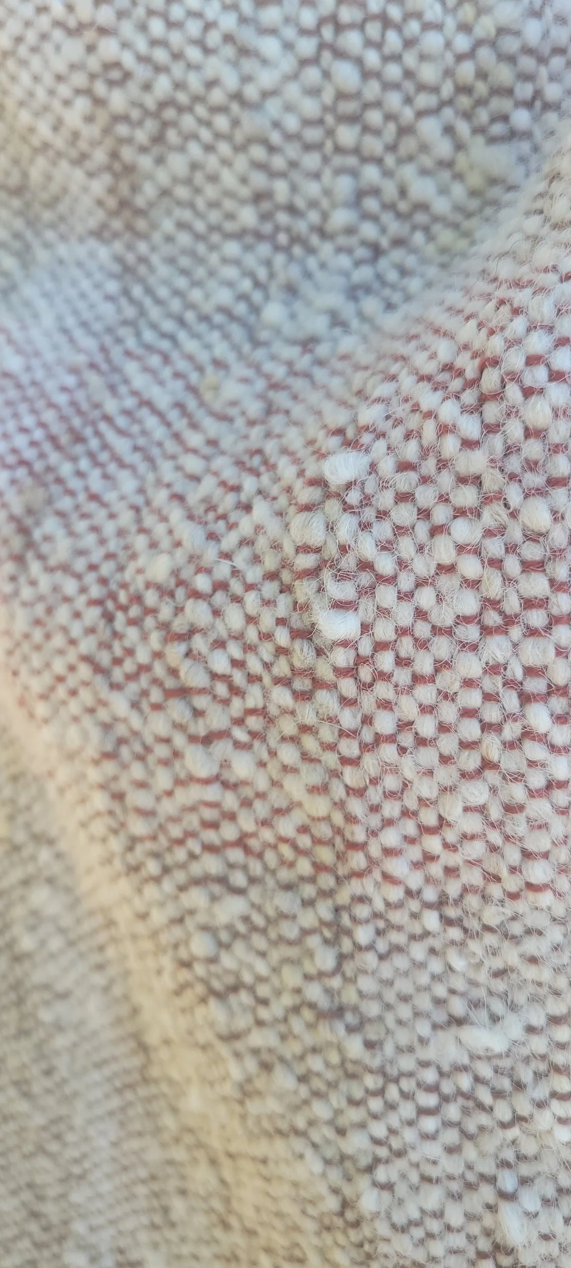 processed_1000018254.jpg