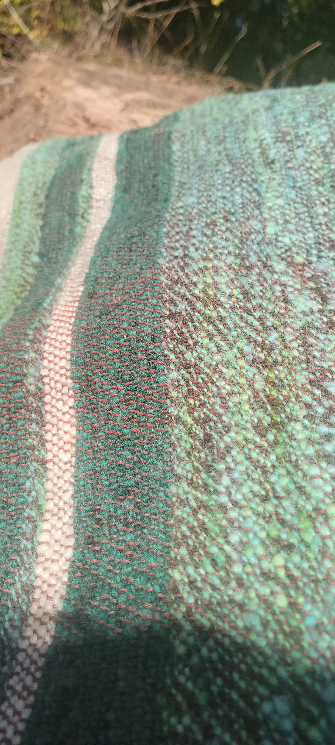 processed_1000018241.jpg