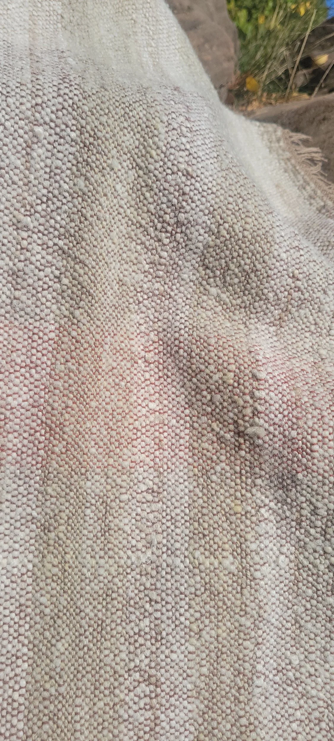processed_1000018255.jpg