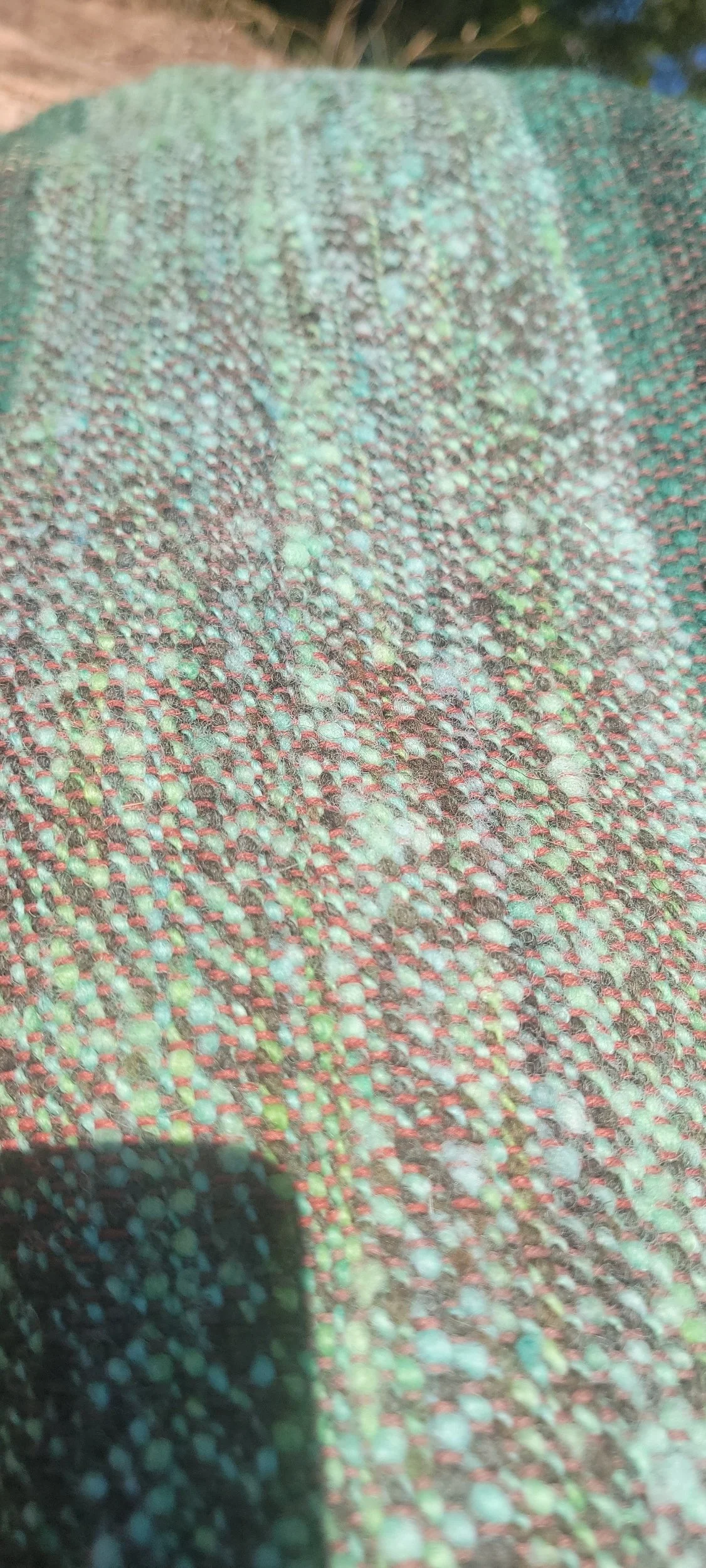 processed_1000018240.jpg
