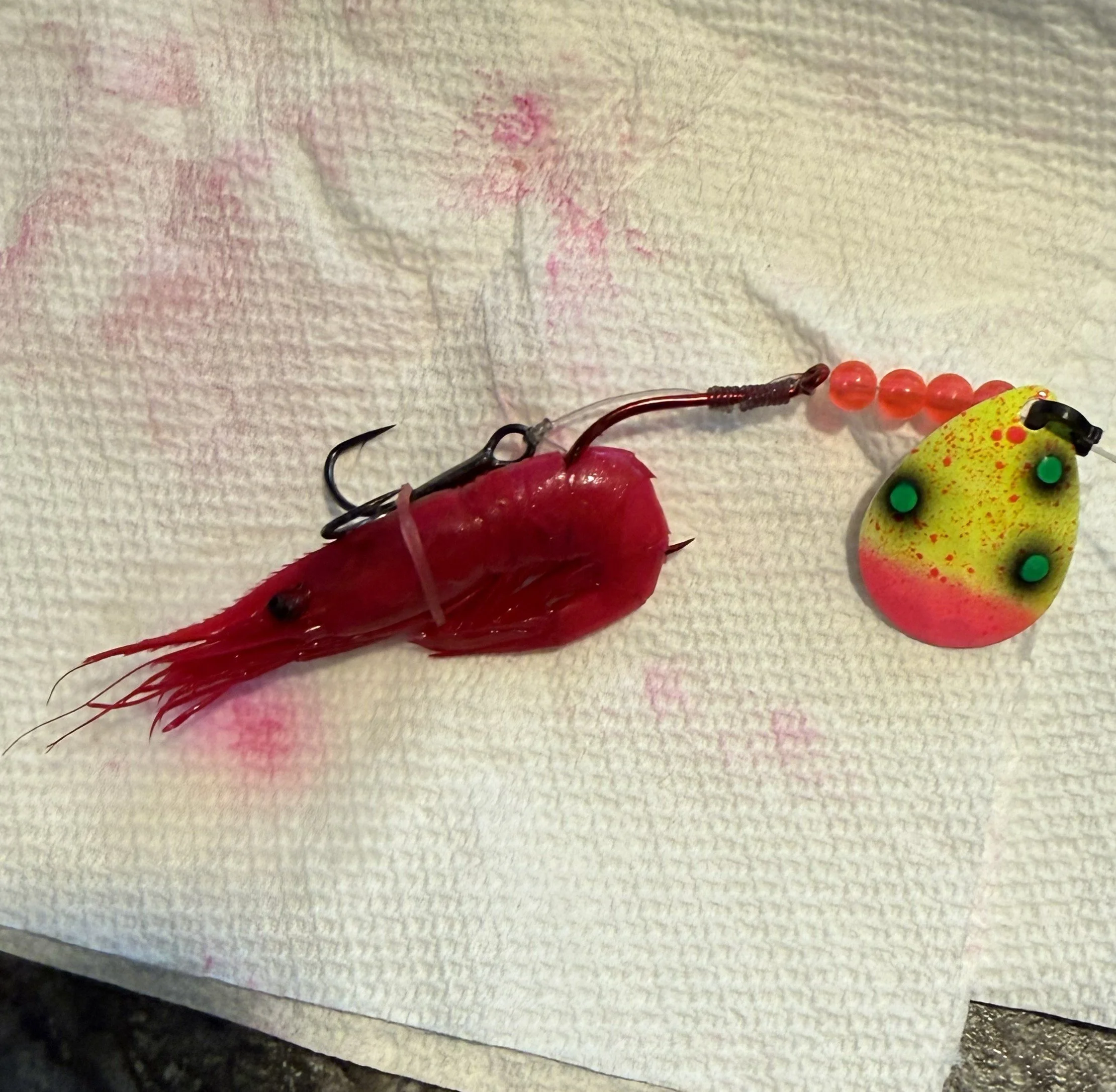 Band on shrimp.jpg