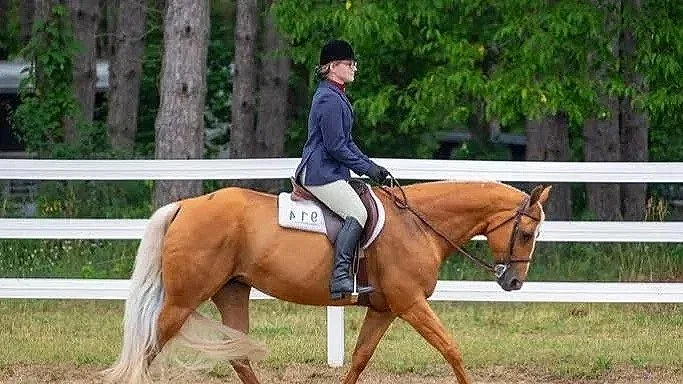 Oranssi carpenter using bench saw