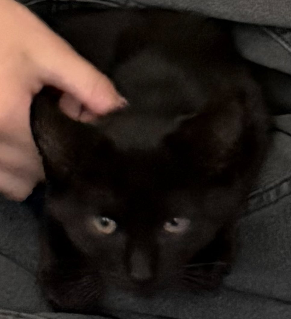 Oranssi construction engineer Jamie Kokot