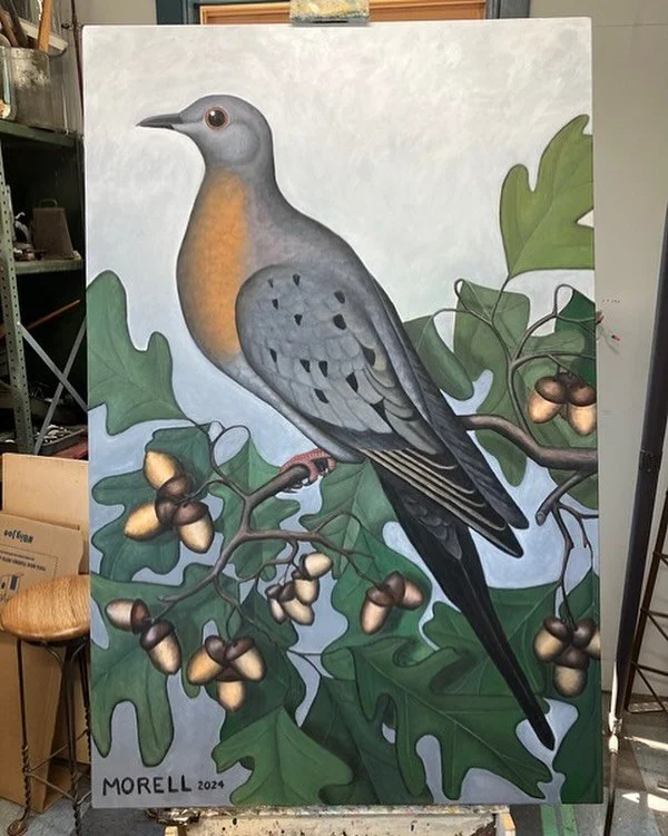 &ldquo;Passenger Pigeon&rdquo;

40&rdquo; x 60&rdquo;

Oil on canvas