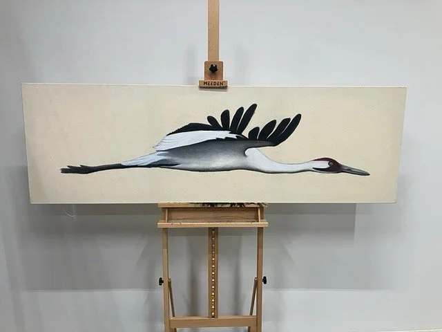 &ldquo;Whooping Crane&rdquo;

22&rdquo; x 70&rdquo;

Oil on canvas