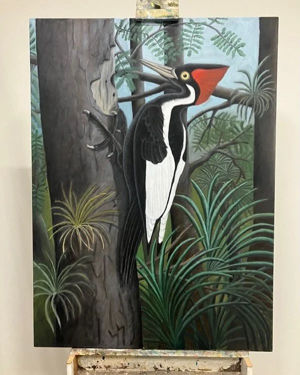 &ldquo;Ivory-Billed Woodpecker&rdquo;

36&rdquo; x 48&rdquo;

Oil on canvas