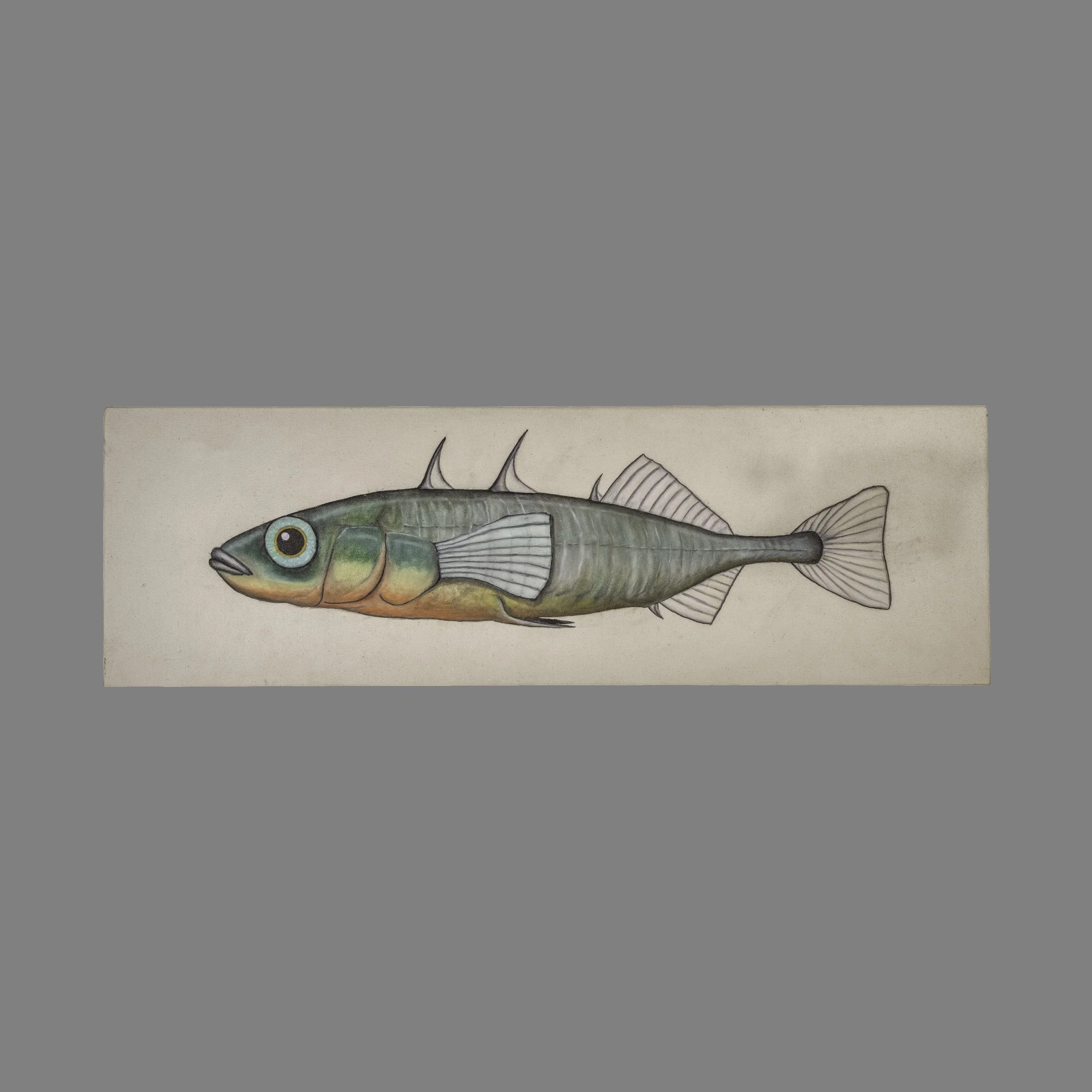 Stickleback 70" x 22"
